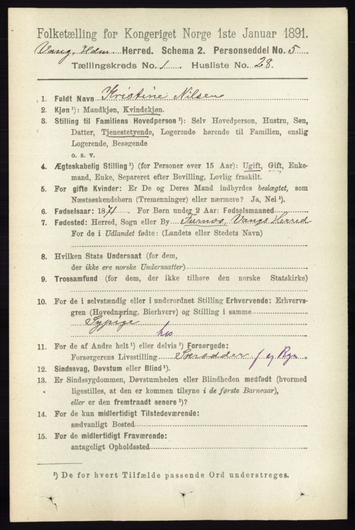 RA, 1891 census for 0414 Vang, 1891, p. 346