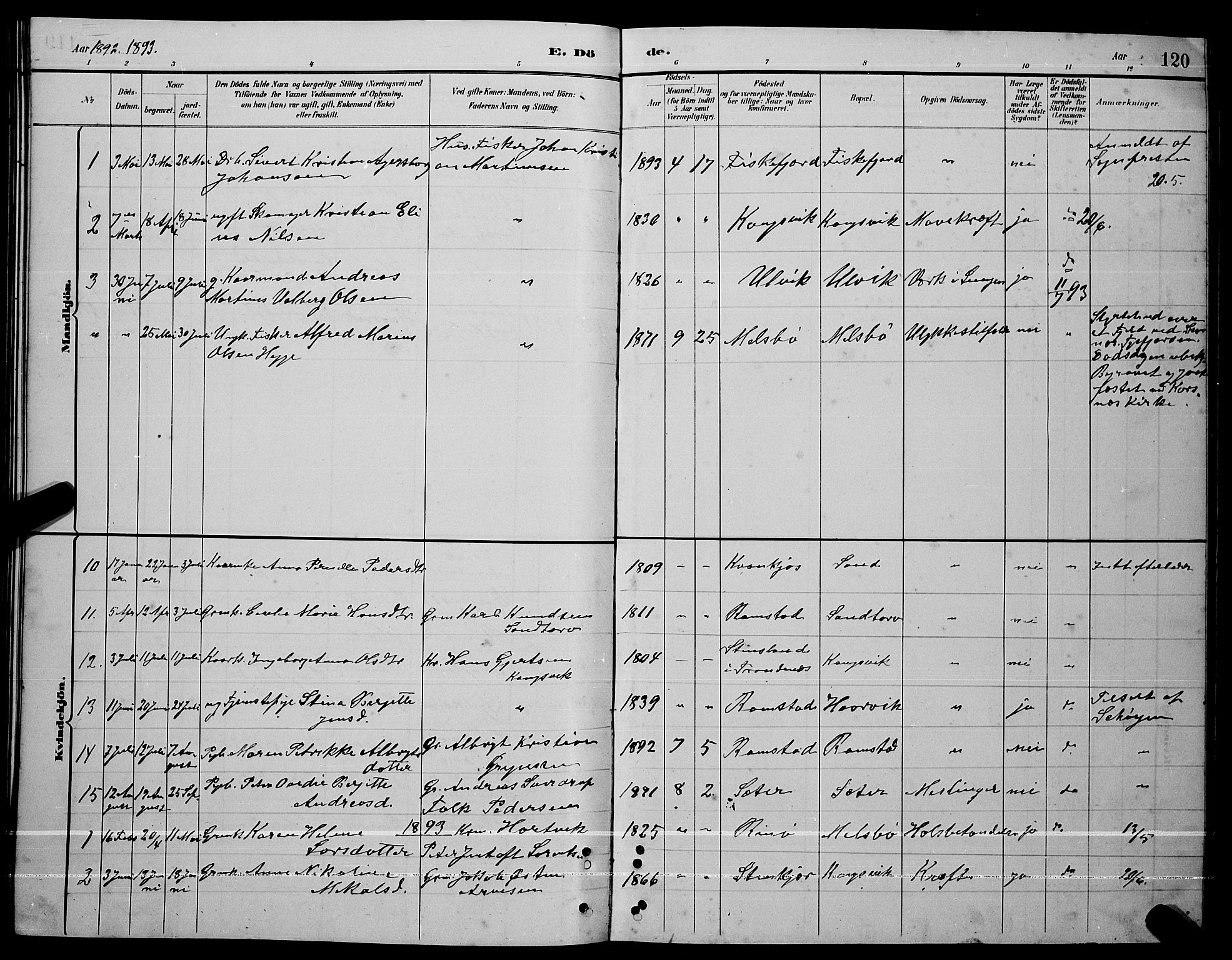 Ministerialprotokoller, klokkerbøker og fødselsregistre - Nordland, AV/SAT-A-1459/865/L0931: Parish register (copy) no. 865C03, 1885-1901, p. 120