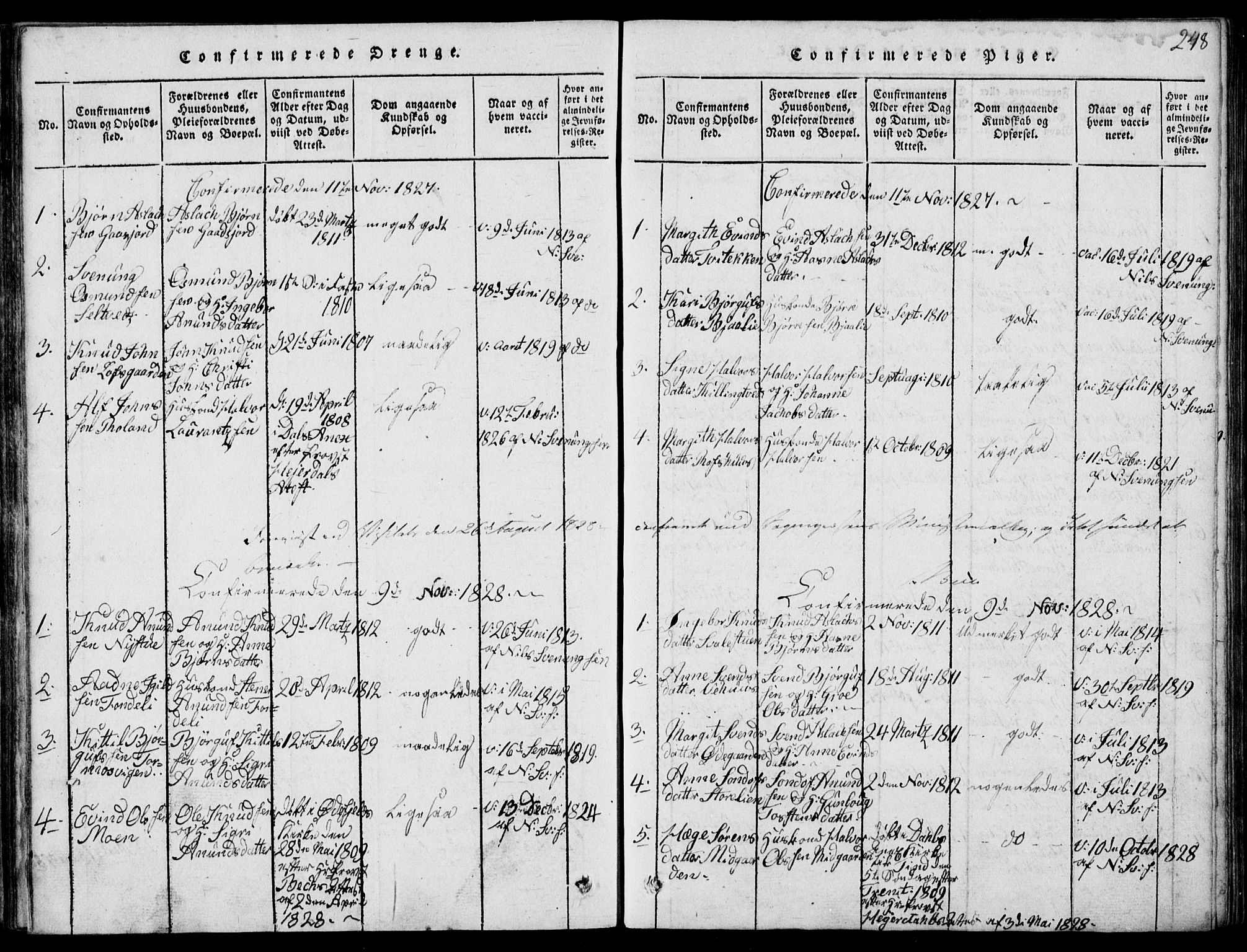 Rauland kirkebøker, SAKO/A-292/G/Ga/L0001: Parish register (copy) no. I 1, 1814-1843, p. 248