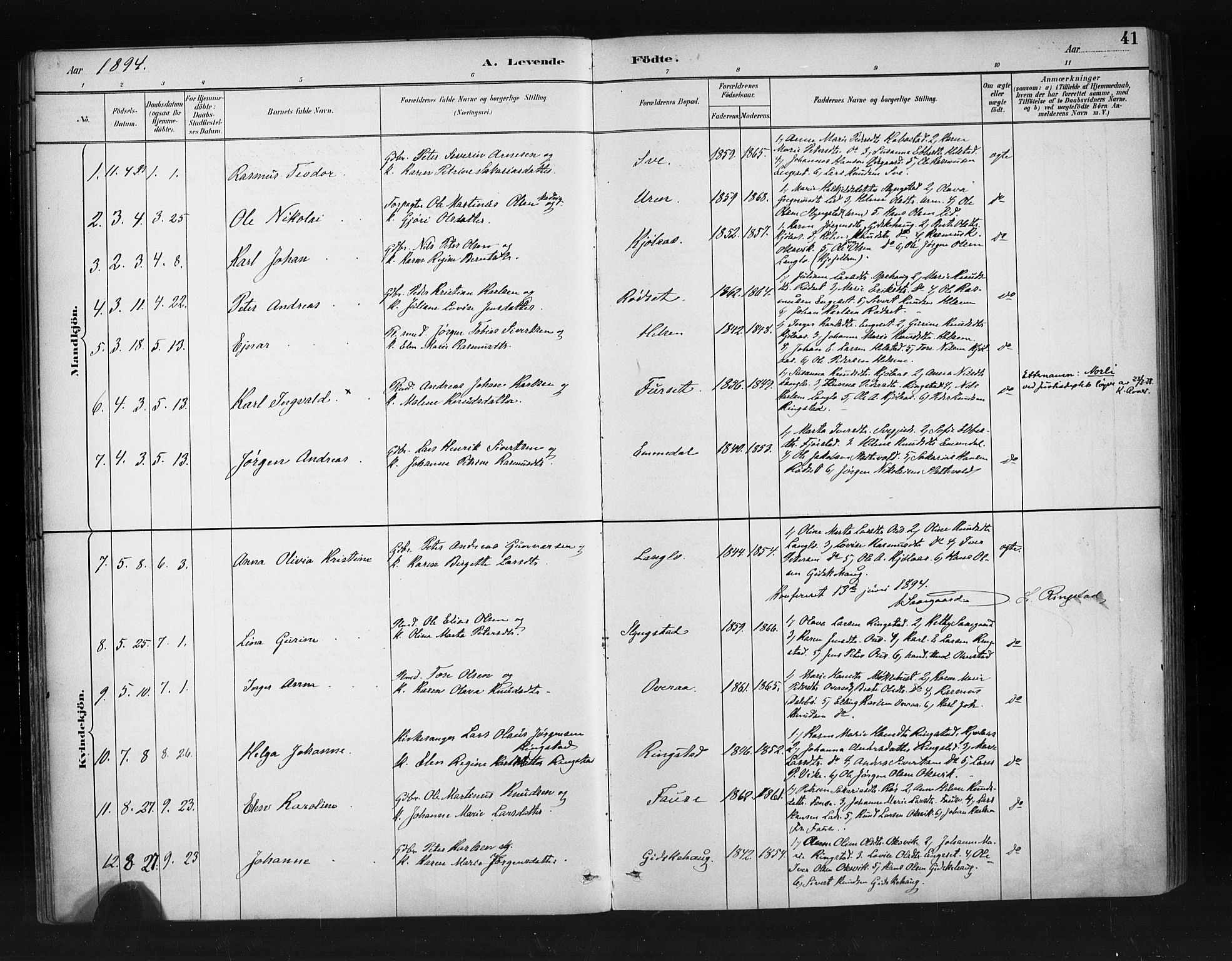 Ministerialprotokoller, klokkerbøker og fødselsregistre - Møre og Romsdal, SAT/A-1454/520/L0283: Parish register (official) no. 520A12, 1882-1898, p. 41