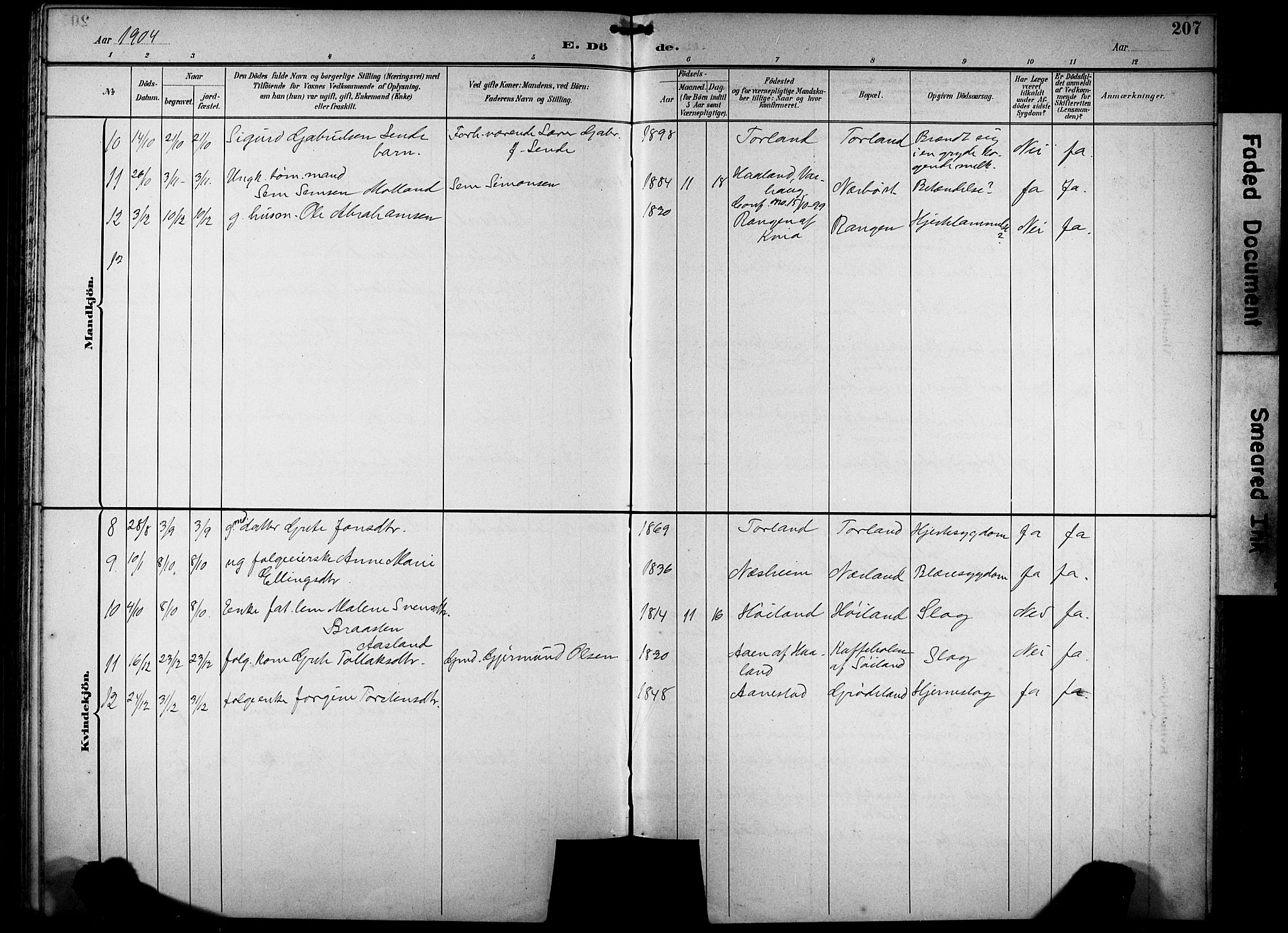 Hå sokneprestkontor, AV/SAST-A-101801/001/30BB/L0005: Parish register (copy) no. B 5, 1894-1912, p. 207