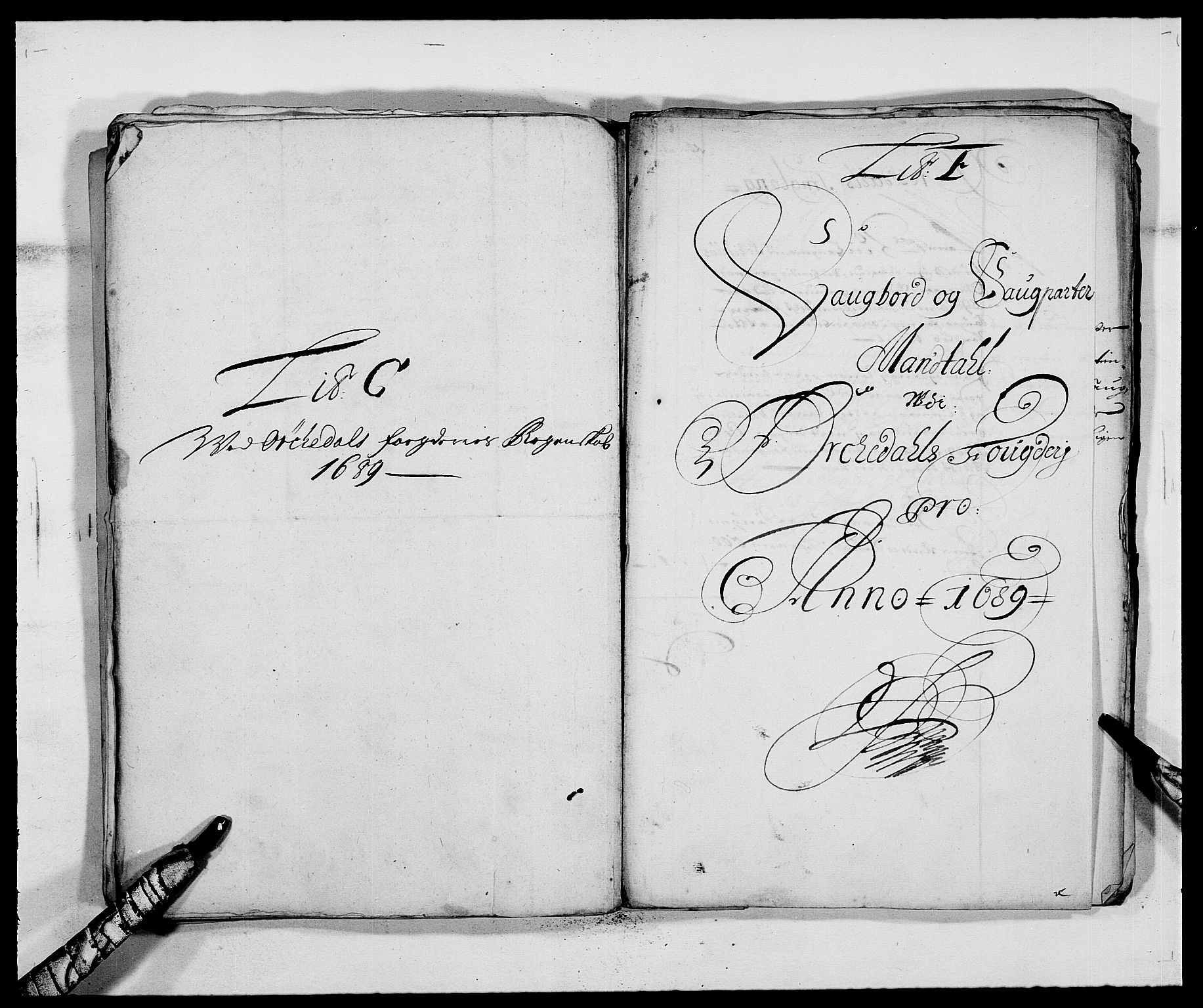 Rentekammeret inntil 1814, Reviderte regnskaper, Fogderegnskap, RA/EA-4092/R58/L3936: Fogderegnskap Orkdal, 1689-1690, p. 66