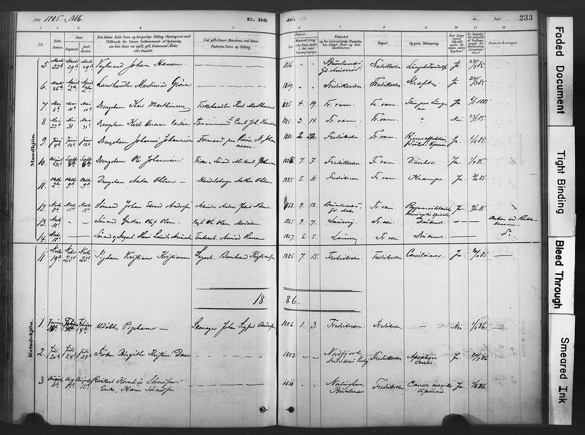 Stavern kirkebøker, SAKO/A-318/F/Fa/L0008: Parish register (official) no. 8, 1878-1905, p. 233
