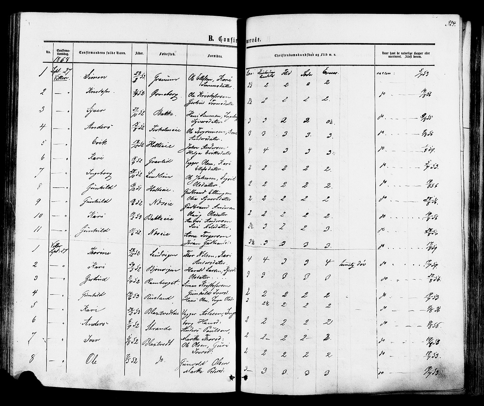 Ådal kirkebøker, SAKO/A-248/F/Fa/L0001: Parish register (official) no. I 1, 1857-1883, p. 324