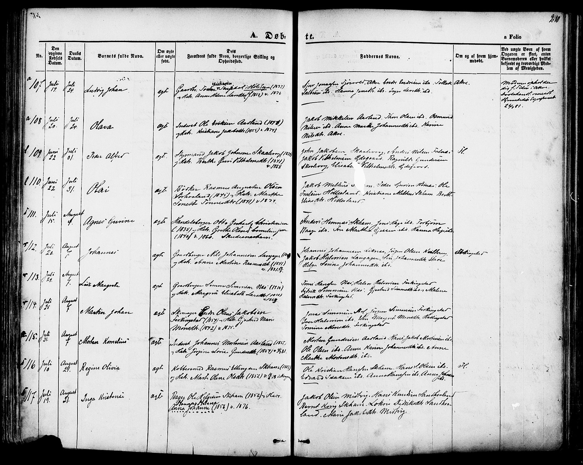 Skudenes sokneprestkontor, SAST/A -101849/H/Ha/Haa/L0006: Parish register (official) no. A 4, 1864-1881, p. 210