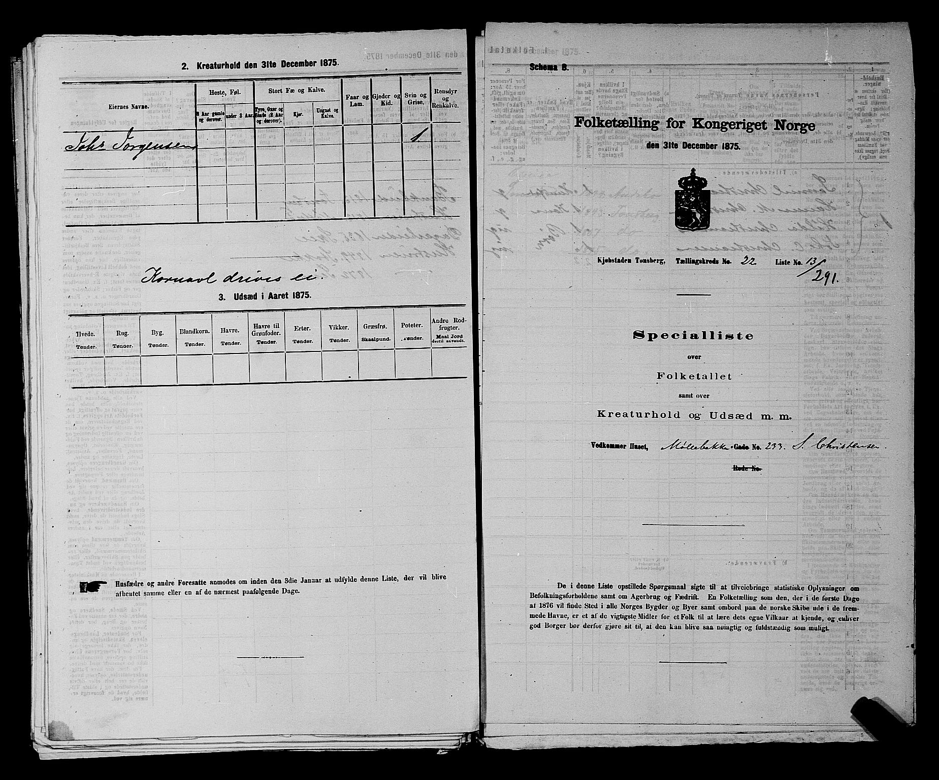 SAKO, 1875 census for 0705P Tønsberg, 1875, p. 715