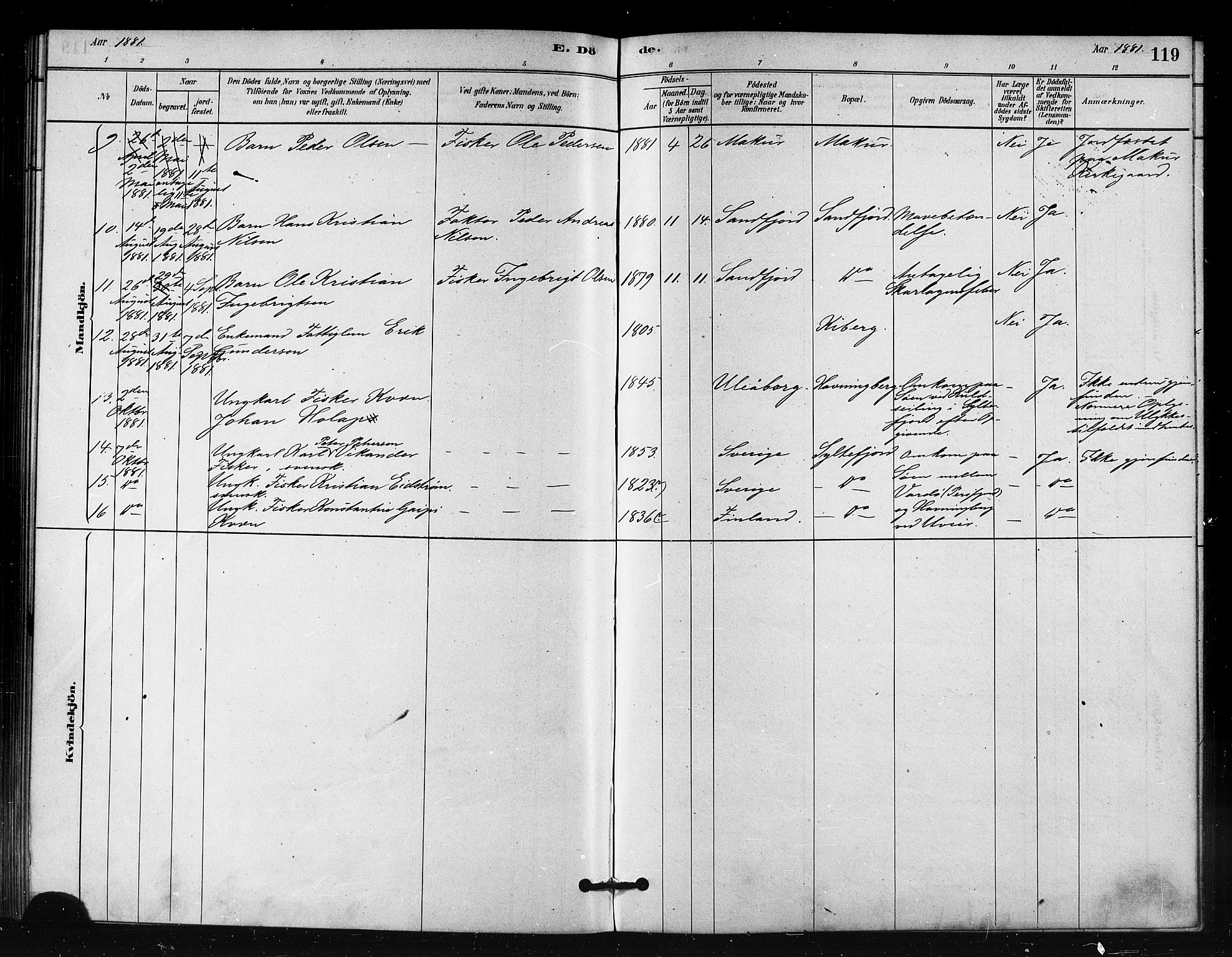 Vardø sokneprestkontor, AV/SATØ-S-1332/H/Ha/L0008kirke: Parish register (official) no. 8, 1879-1887, p. 119