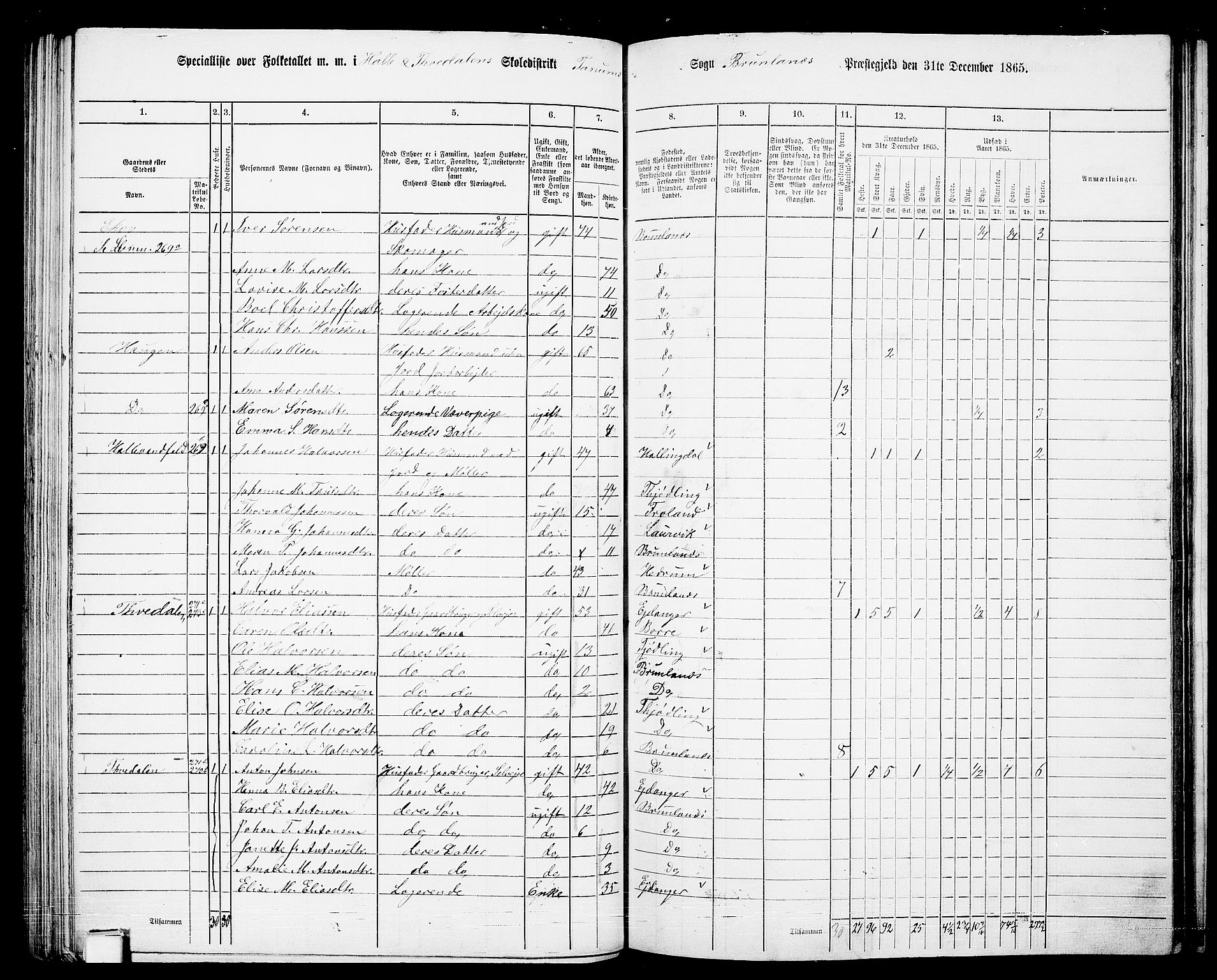 RA, 1865 census for Brunlanes, 1865, p. 100