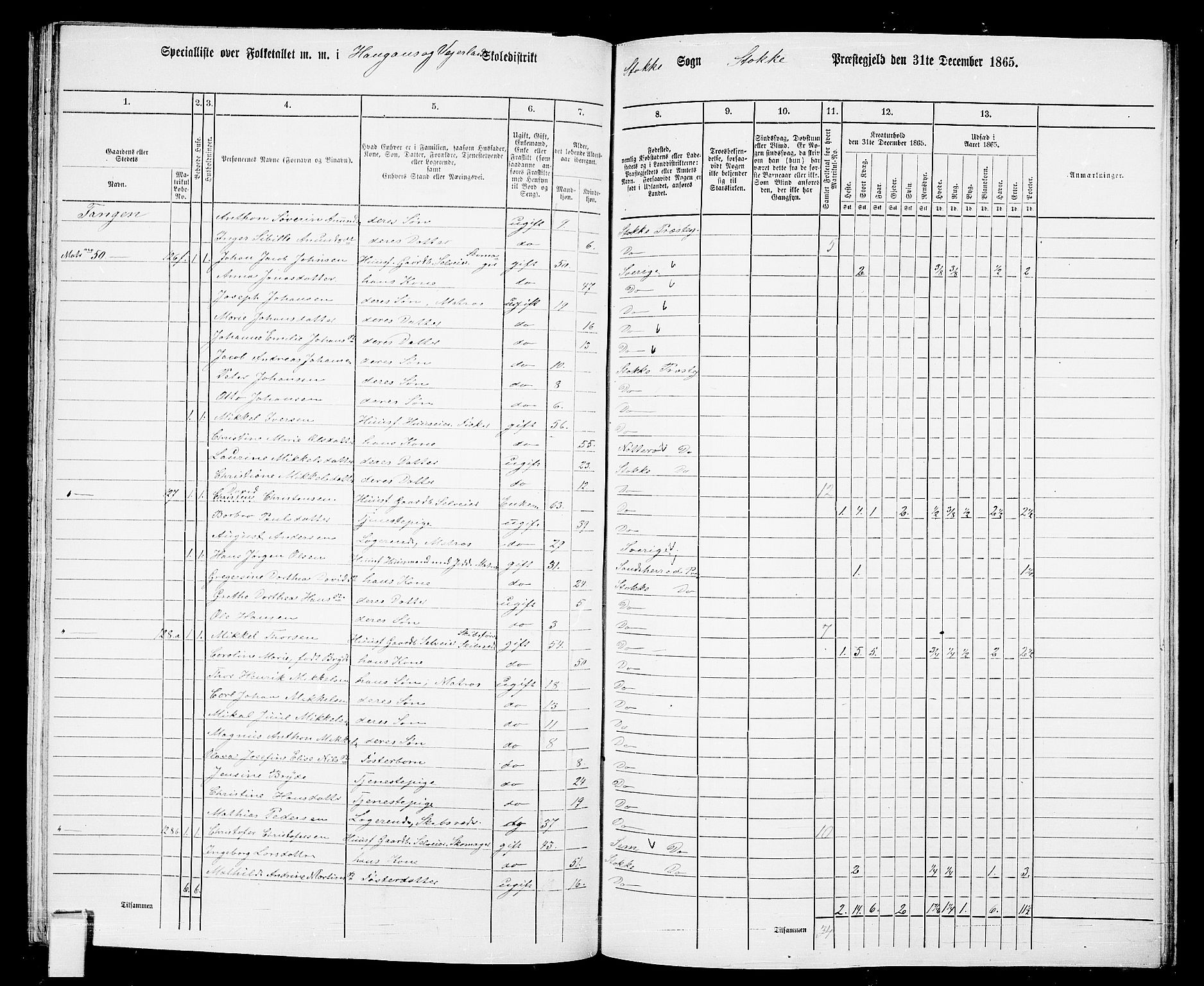 RA, 1865 census for Stokke, 1865, p. 101