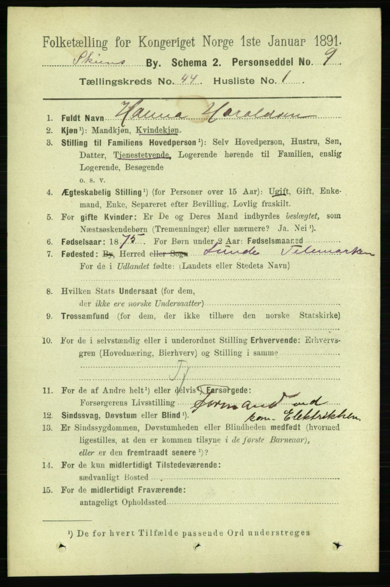 RA, 1891 census for 0806 Skien, 1891, p. 8777