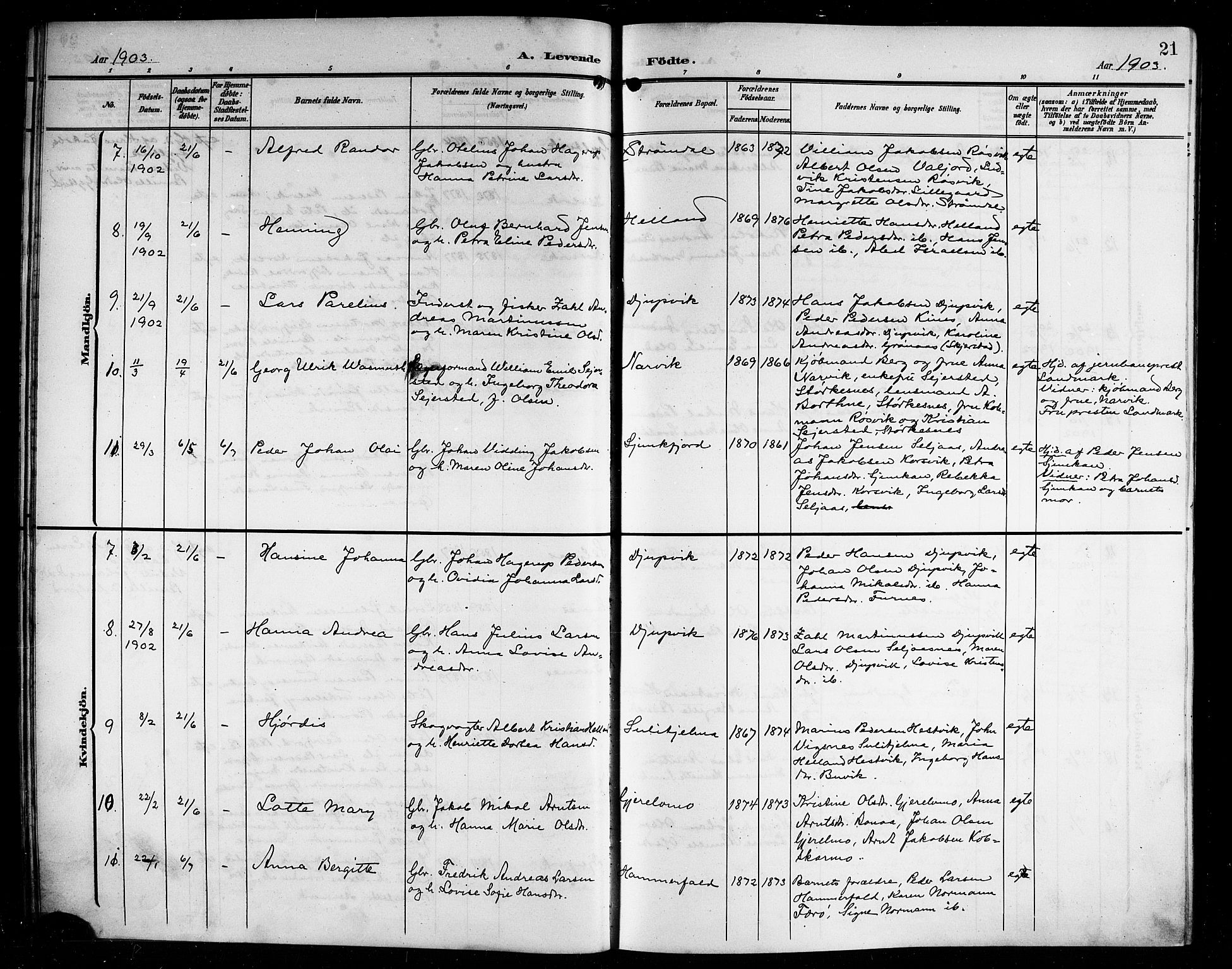 Ministerialprotokoller, klokkerbøker og fødselsregistre - Nordland, AV/SAT-A-1459/854/L0786: Parish register (copy) no. 854C02, 1901-1912, p. 21