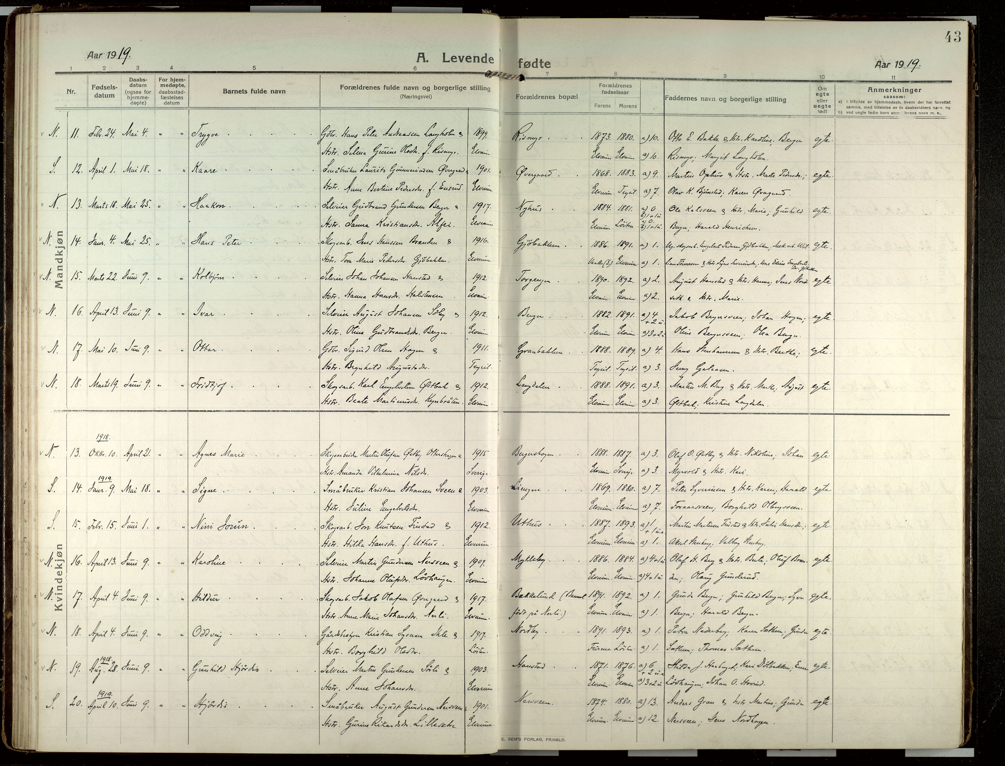 Elverum prestekontor, AV/SAH-PREST-044/H/Ha/Haa/L0022: Parish register (official) no. 22, 1913-1924, p. 43