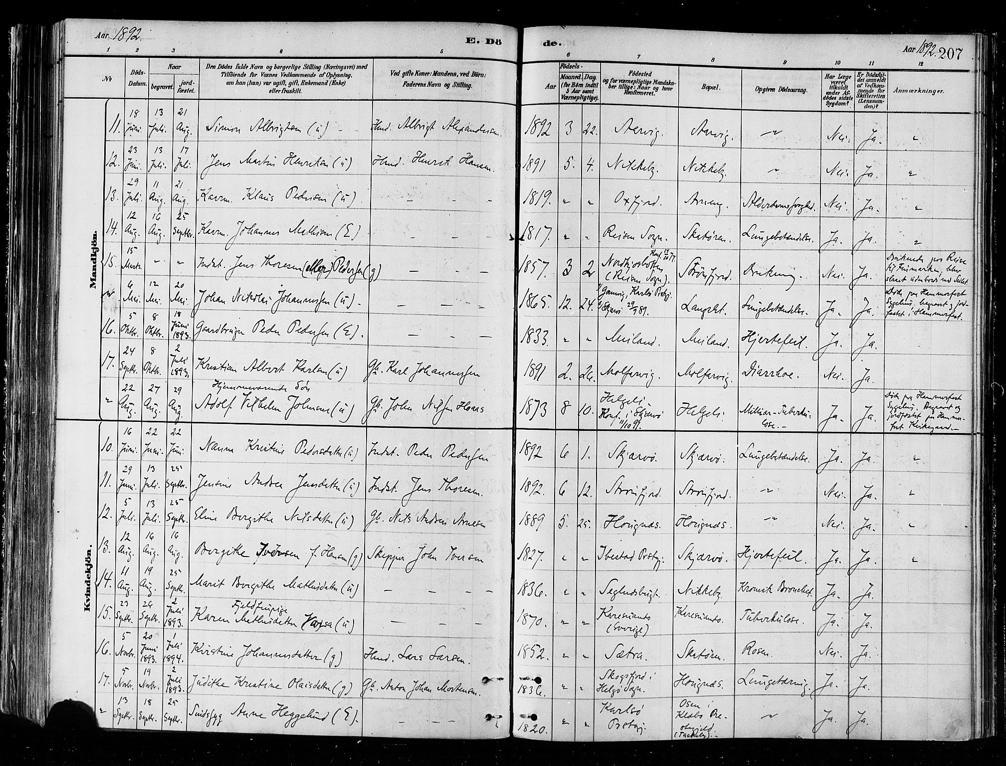 Skjervøy sokneprestkontor, SATØ/S-1300/H/Ha/Haa/L0010kirke: Parish register (official) no. 10, 1887-1898, p. 207
