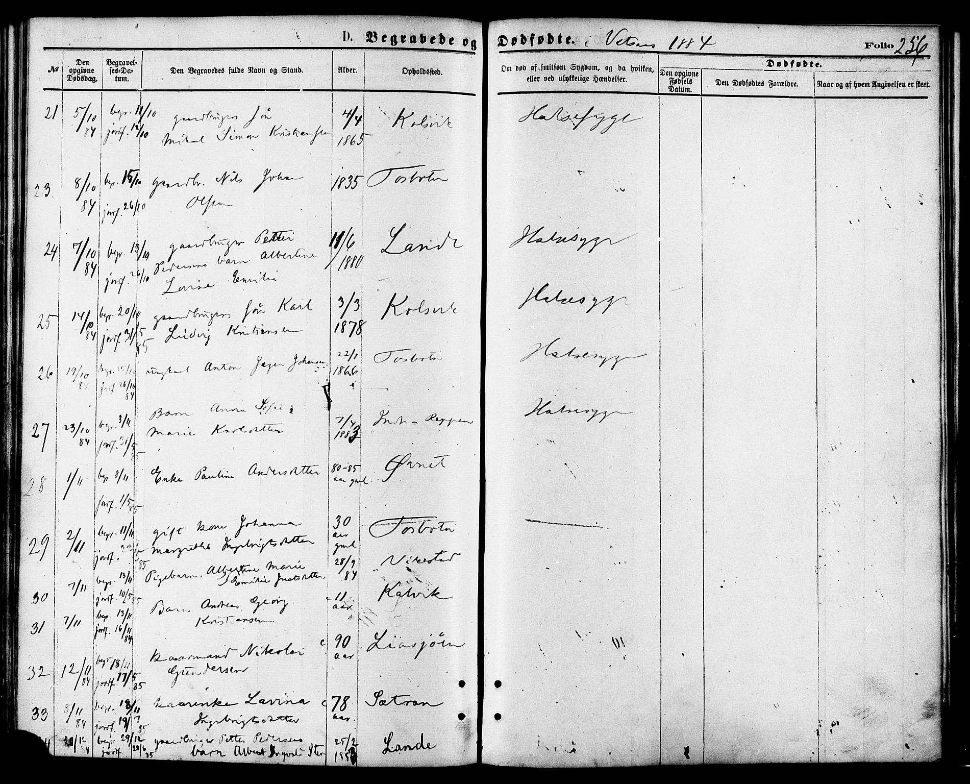 Ministerialprotokoller, klokkerbøker og fødselsregistre - Nordland, AV/SAT-A-1459/810/L0148: Parish register (official) no. 810A09 /1, 1874-1884, p. 256