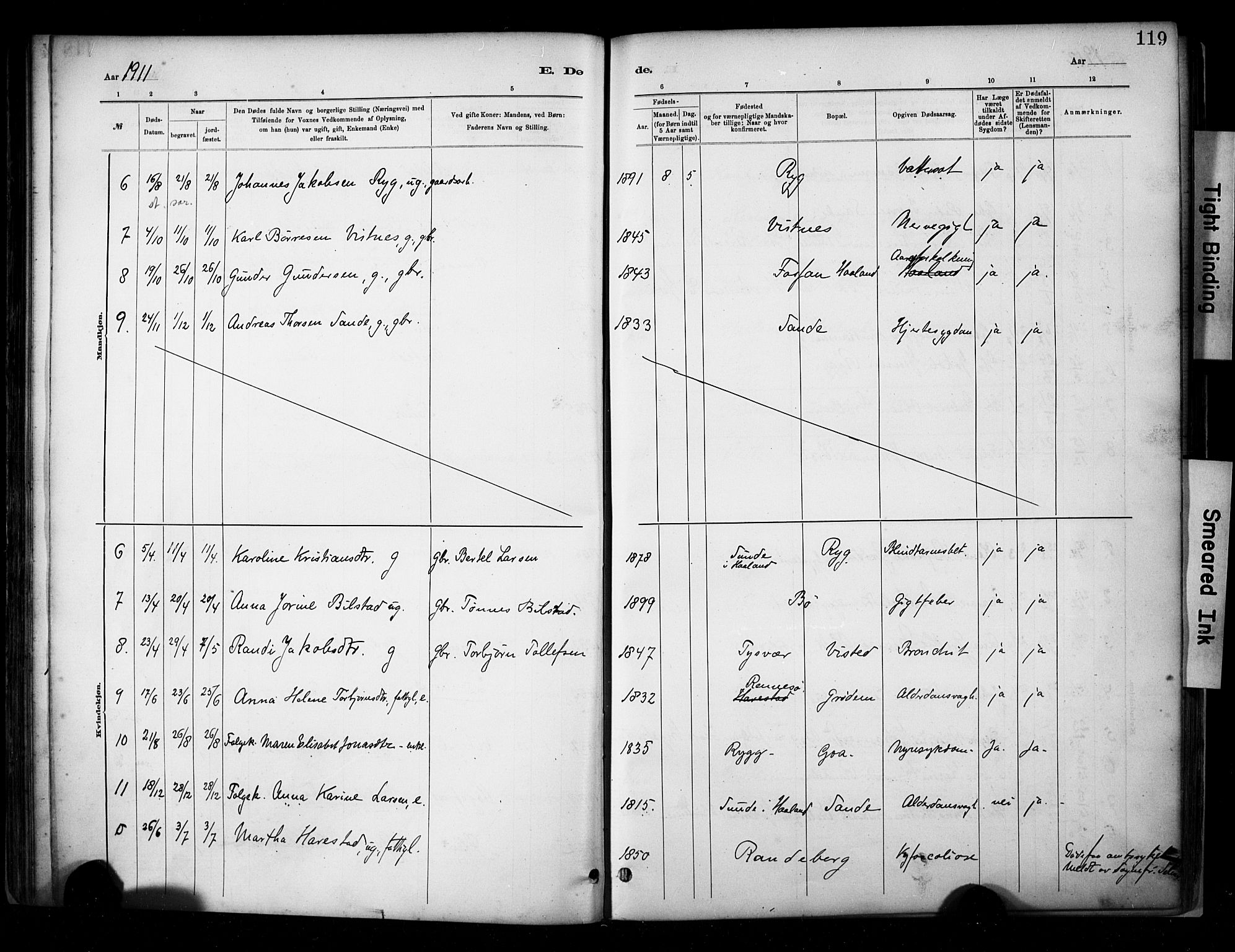 Hetland sokneprestkontor, SAST/A-101826/30/30BA/L0009: Parish register (official) no. A 9, 1882-1918, p. 119