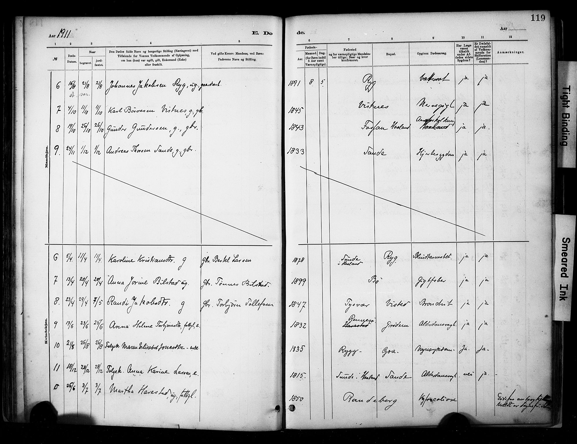 Hetland sokneprestkontor, AV/SAST-A-101826/30/30BA/L0009: Parish register (official) no. A 9, 1882-1918, p. 119