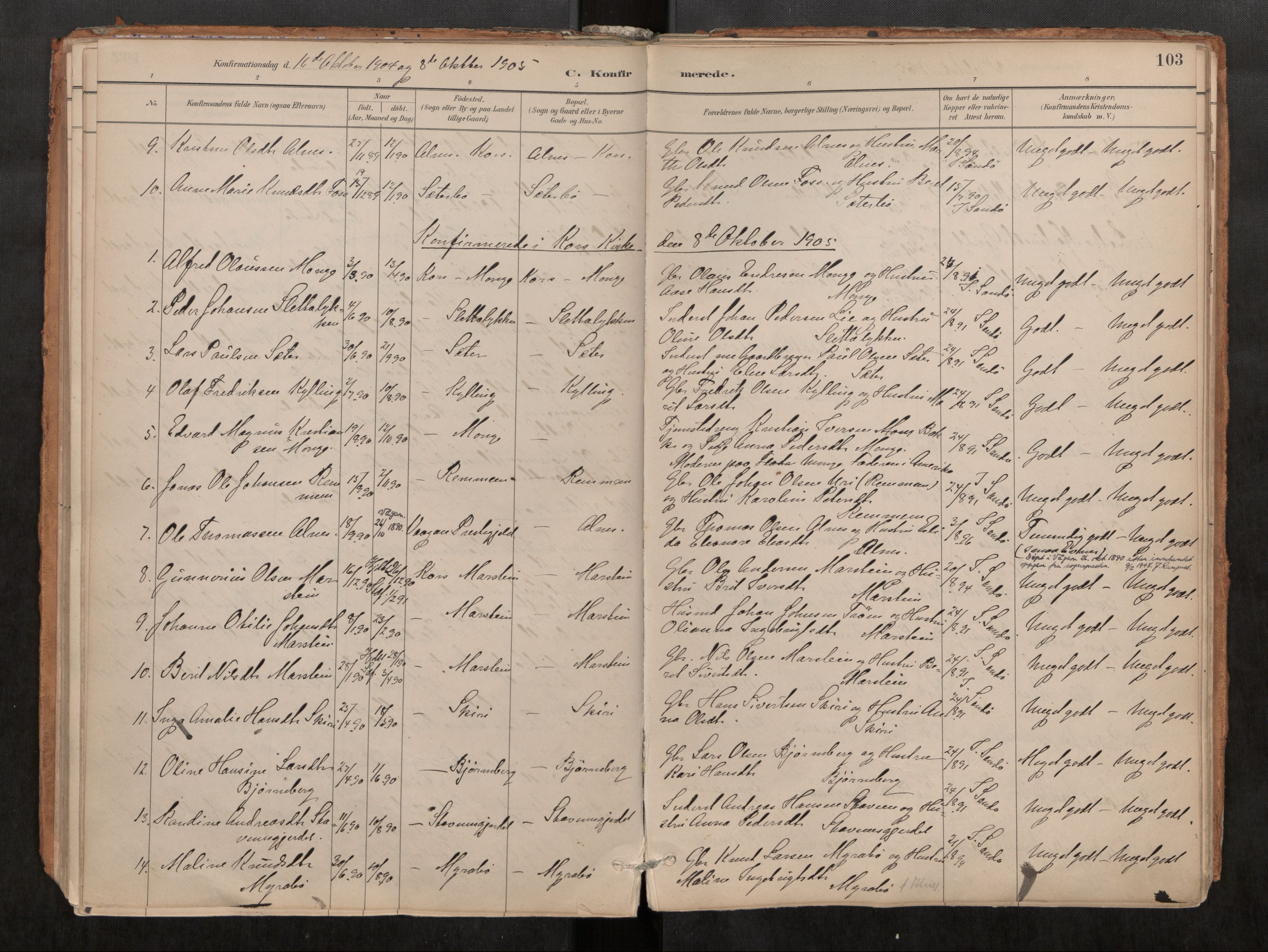 Ministerialprotokoller, klokkerbøker og fødselsregistre - Møre og Romsdal, SAT/A-1454/546/L0599: Parish register (official) no. 546A03, 1882-1920, p. 103