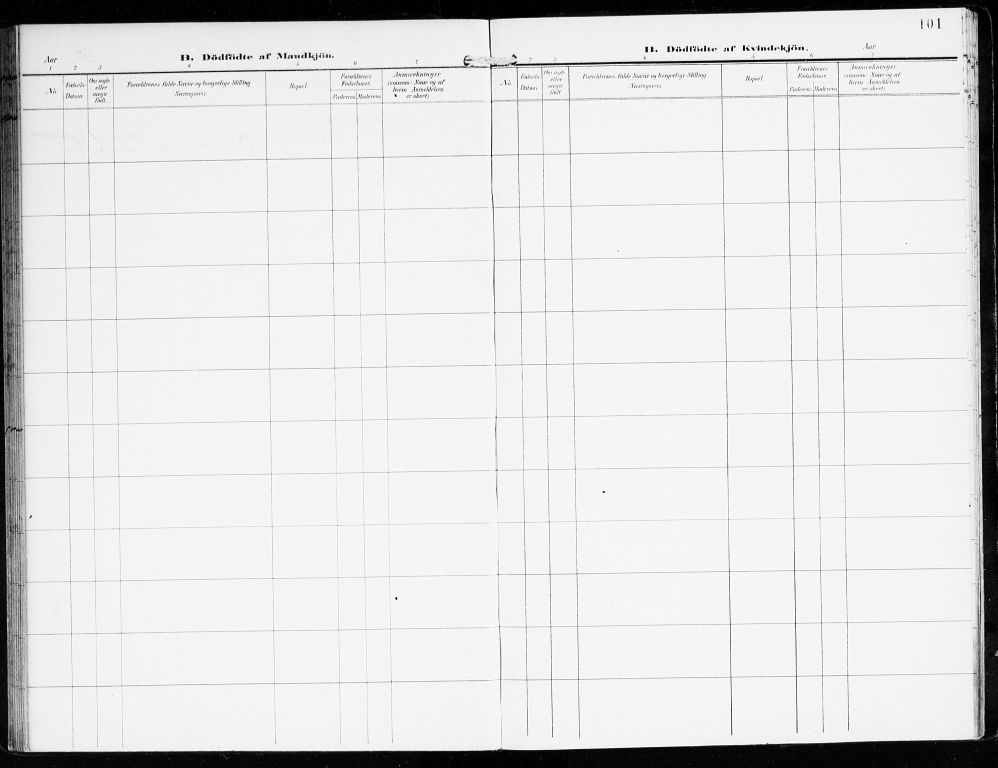 Innvik sokneprestembete, AV/SAB-A-80501: Parish register (official) no. D 2, 1900-1921, p. 101