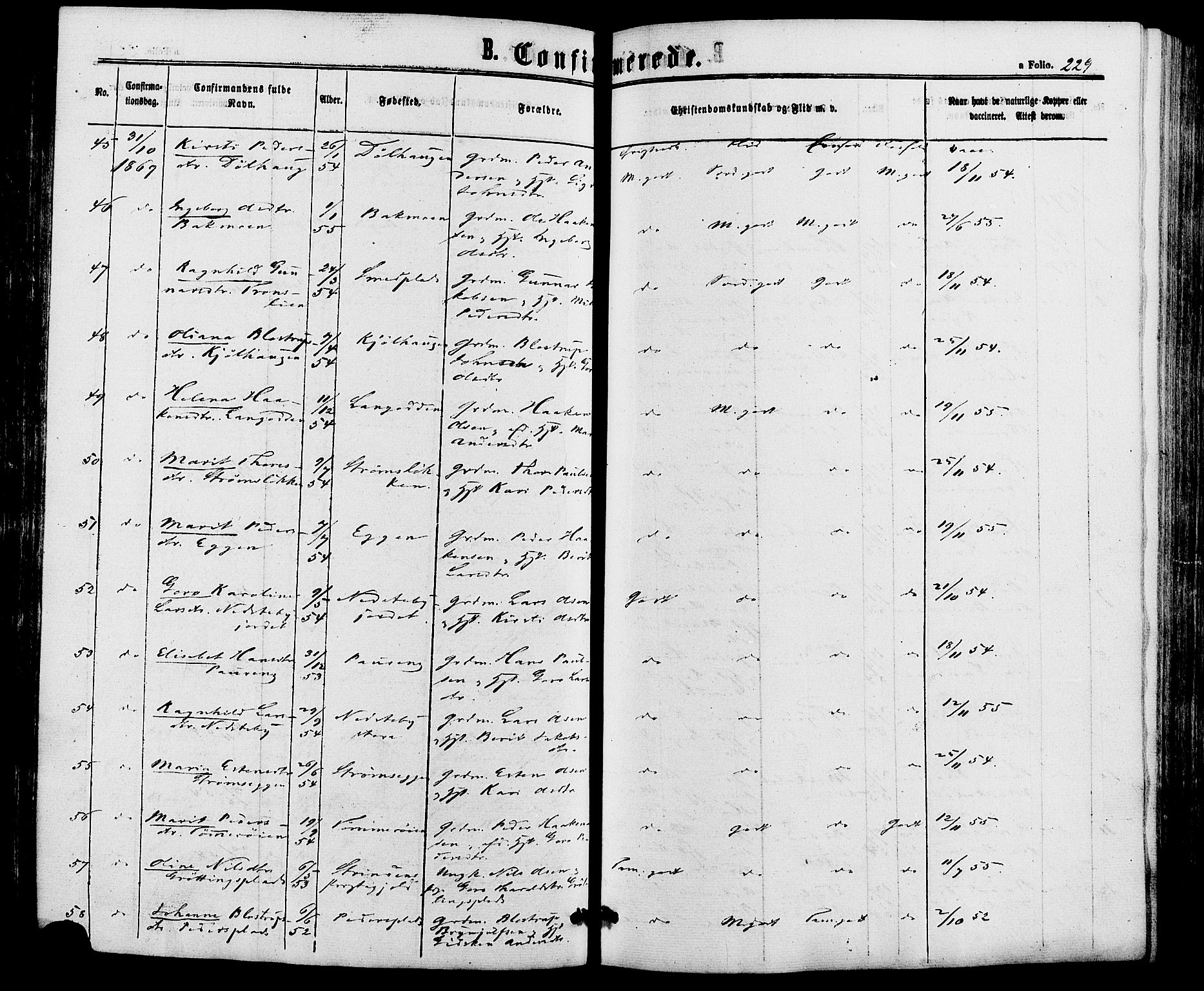 Alvdal prestekontor, AV/SAH-PREST-060/H/Ha/Haa/L0001: Parish register (official) no. 1, 1863-1882, p. 229