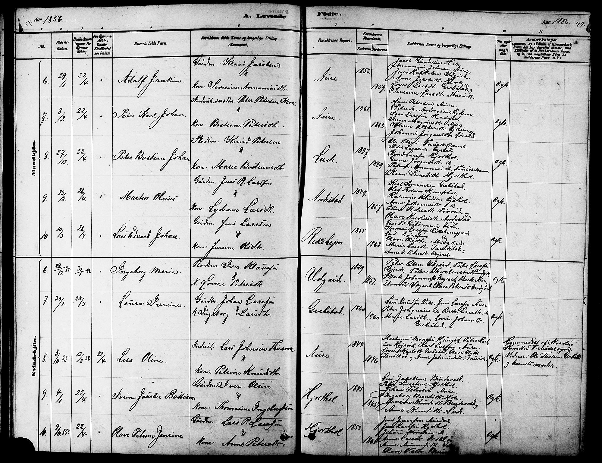 Ministerialprotokoller, klokkerbøker og fødselsregistre - Møre og Romsdal, AV/SAT-A-1454/523/L0339: Parish register (copy) no. 523C02, 1878-1891, p. 49