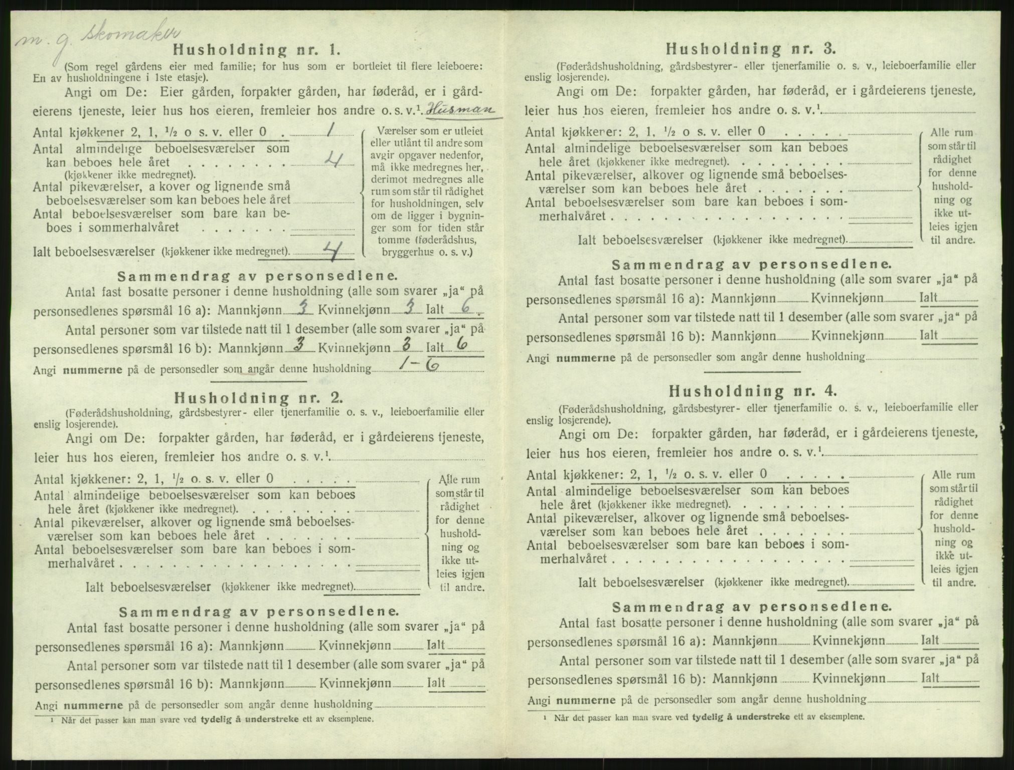 SAT, 1920 census for Surnadal, 1920, p. 596