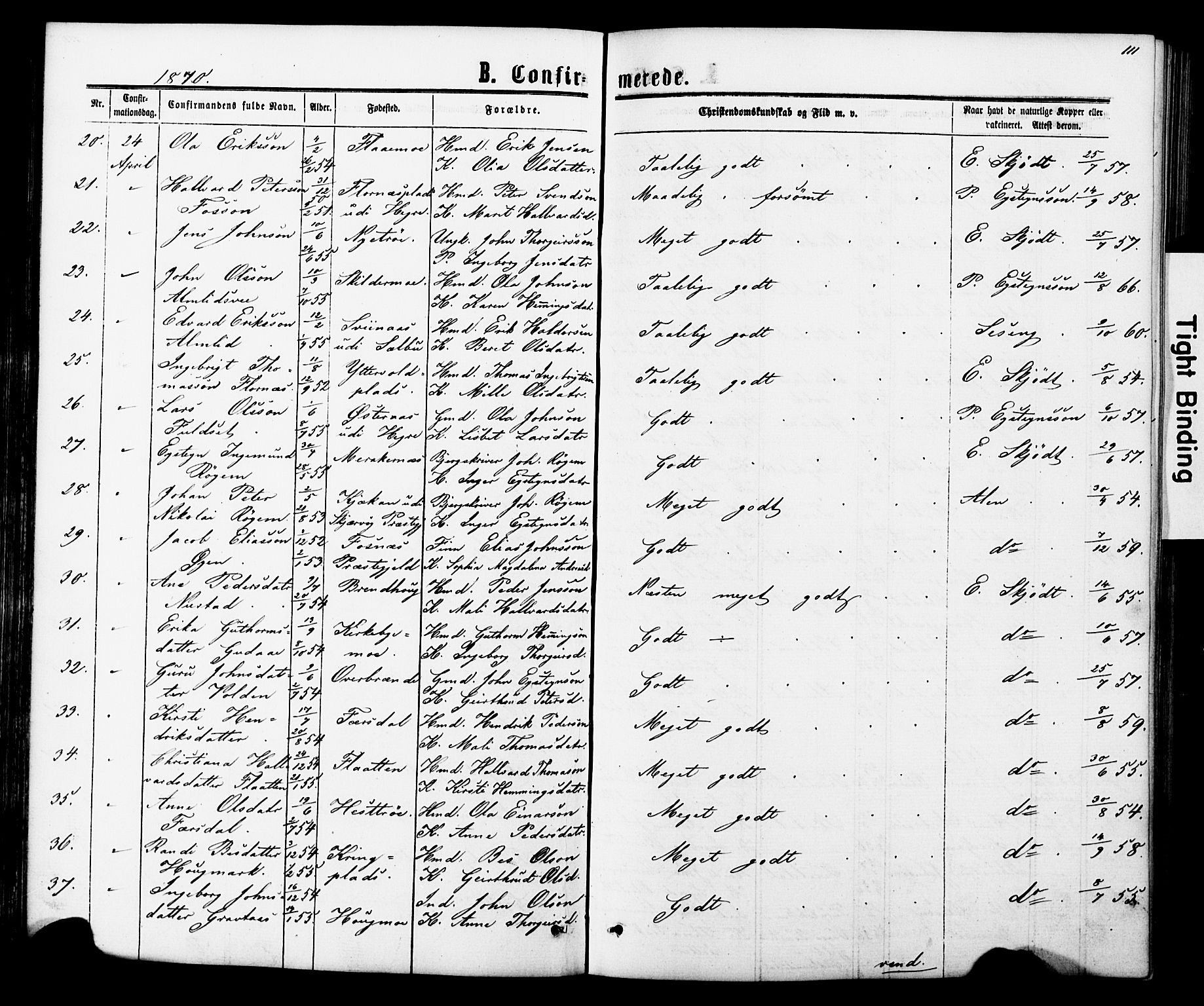 Ministerialprotokoller, klokkerbøker og fødselsregistre - Nord-Trøndelag, SAT/A-1458/706/L0049: Parish register (copy) no. 706C01, 1864-1895, p. 111