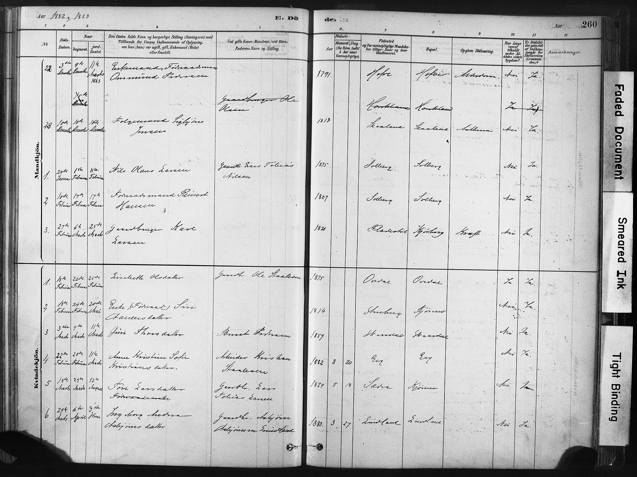 Lund sokneprestkontor, SAST/A-101809/S06/L0011: Parish register (official) no. A 10, 1877-1904, p. 260