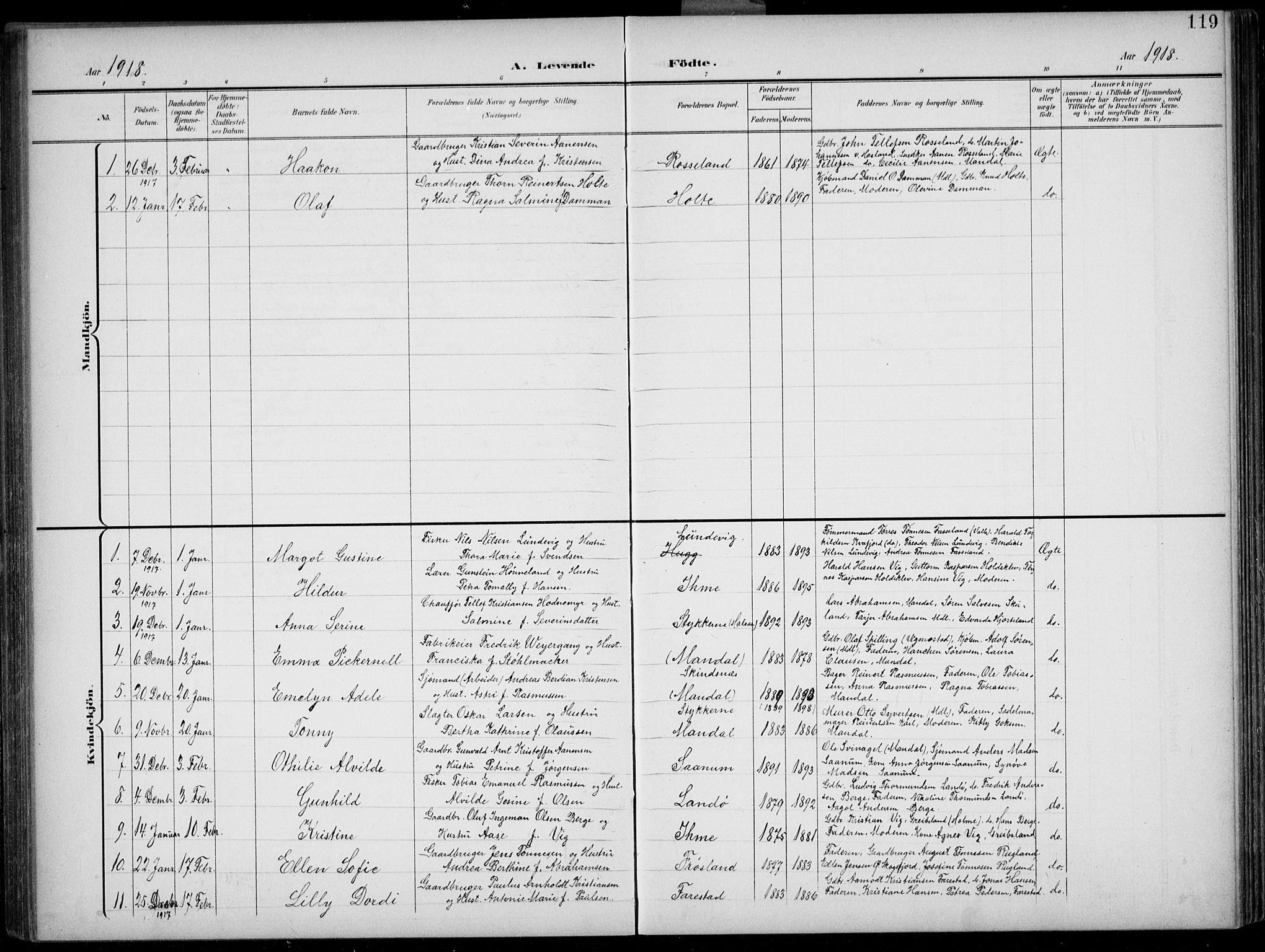 Mandal sokneprestkontor, AV/SAK-1111-0030/F/Fb/Fba/L0012: Parish register (copy) no. B 6, 1899-1918, p. 119