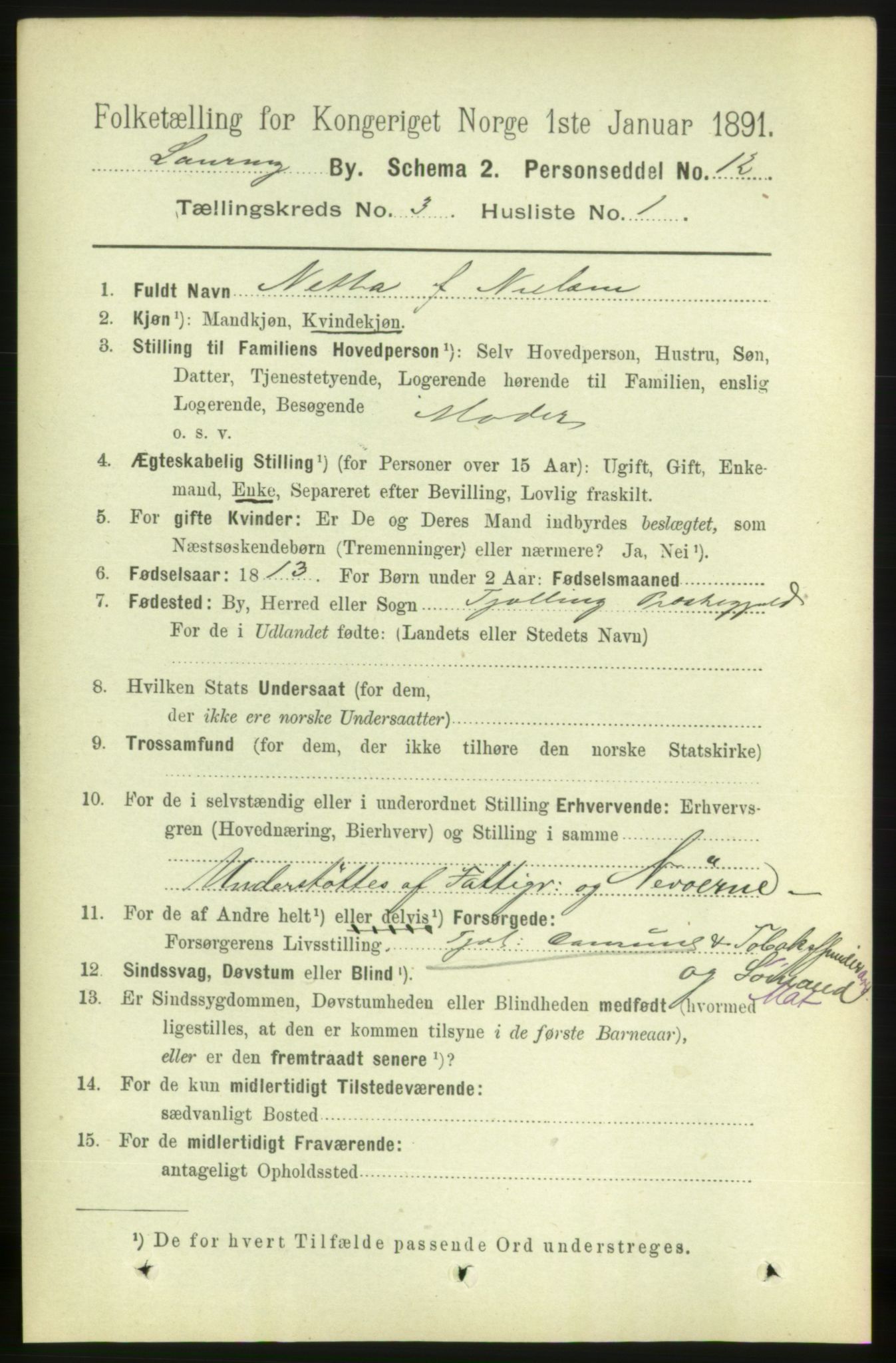 RA, 1891 census for 0707 Larvik, 1891, p. 4133