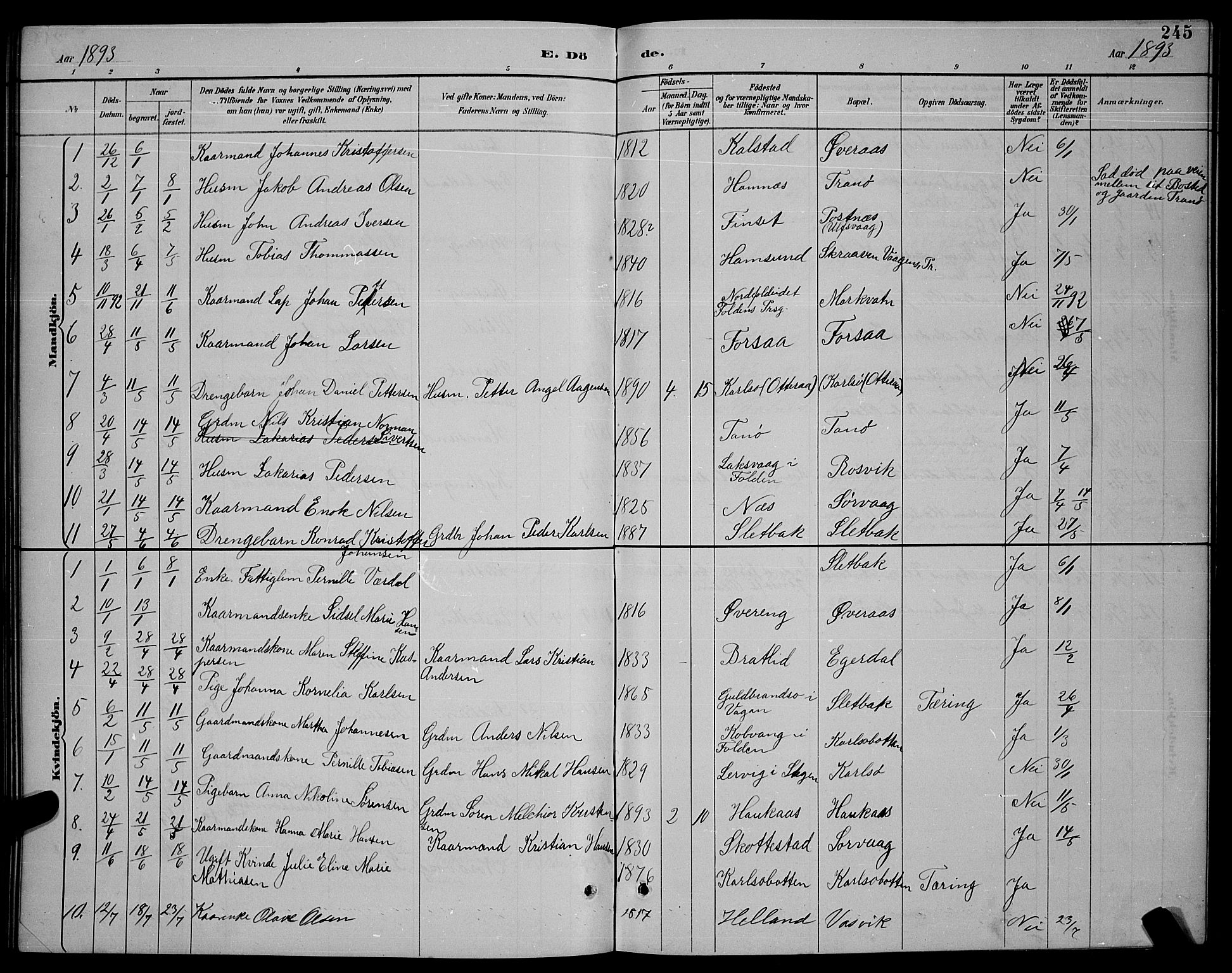 Ministerialprotokoller, klokkerbøker og fødselsregistre - Nordland, SAT/A-1459/859/L0859: Parish register (copy) no. 859C05, 1887-1898, p. 245