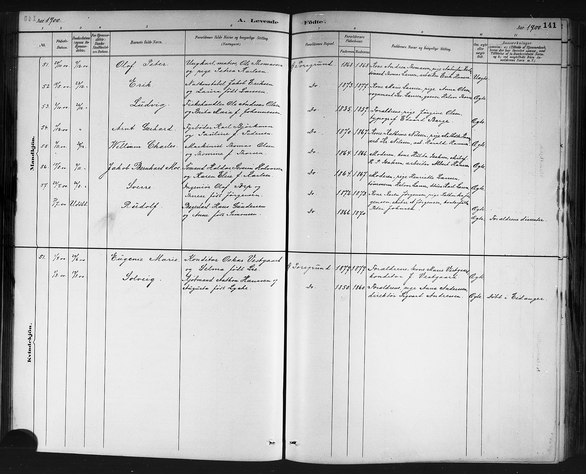 Porsgrunn kirkebøker , SAKO/A-104/G/Gb/L0005: Parish register (copy) no. II 5, 1883-1915, p. 141