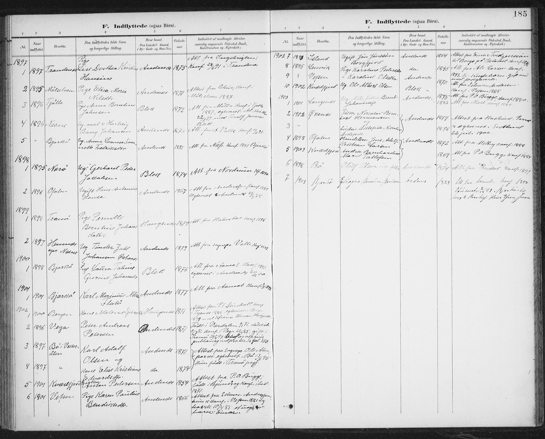 Ministerialprotokoller, klokkerbøker og fødselsregistre - Nordland, SAT/A-1459/899/L1437: Parish register (official) no. 899A05, 1897-1908, p. 185