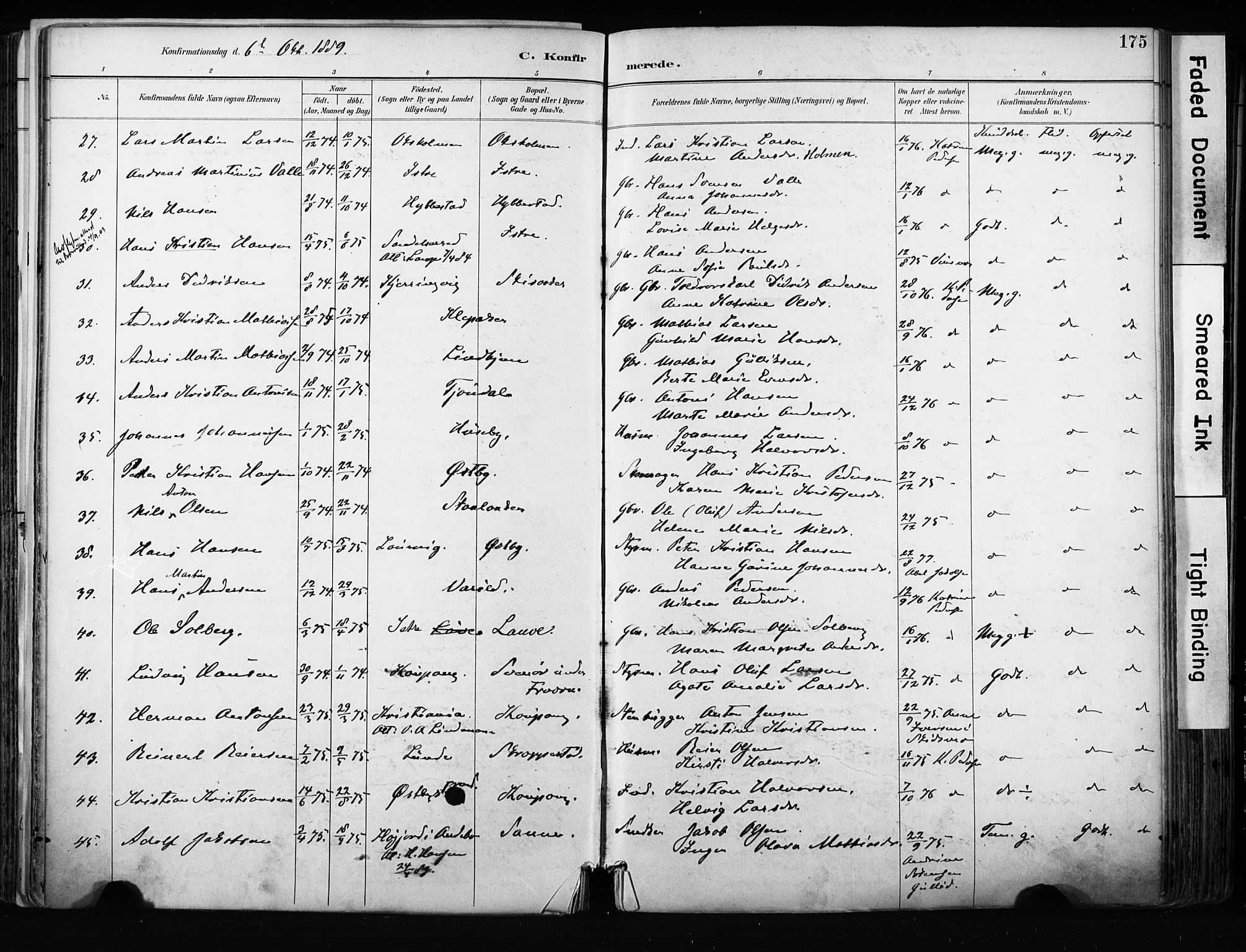 Tjølling kirkebøker, AV/SAKO-A-60/F/Fa/L0009: Parish register (official) no. 9, 1887-1905, p. 175