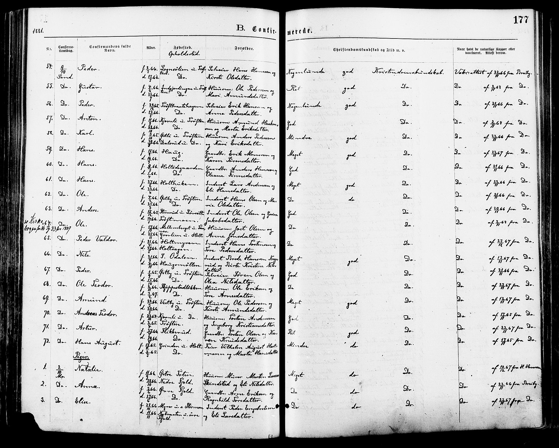 Nord-Odal prestekontor, AV/SAH-PREST-032/H/Ha/Haa/L0005: Parish register (official) no. 5, 1874-1885, p. 177