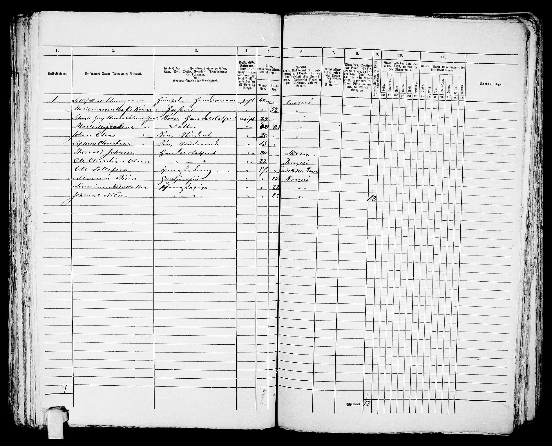 RA, 1865 census for Kragerø/Kragerø, 1865, p. 1063