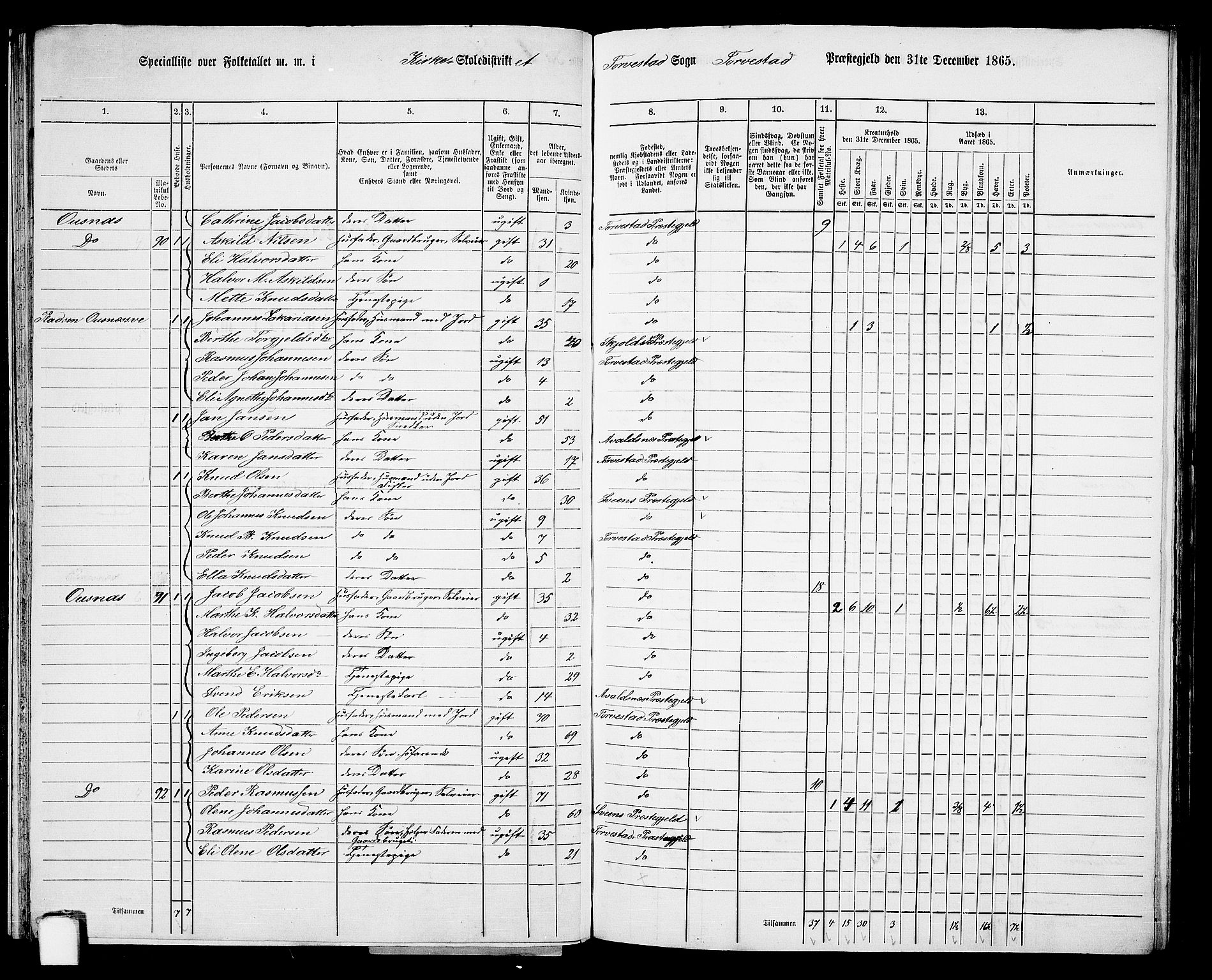 RA, 1865 census for Torvastad/Torvastad, Skåre og Utsira, 1865, p. 43