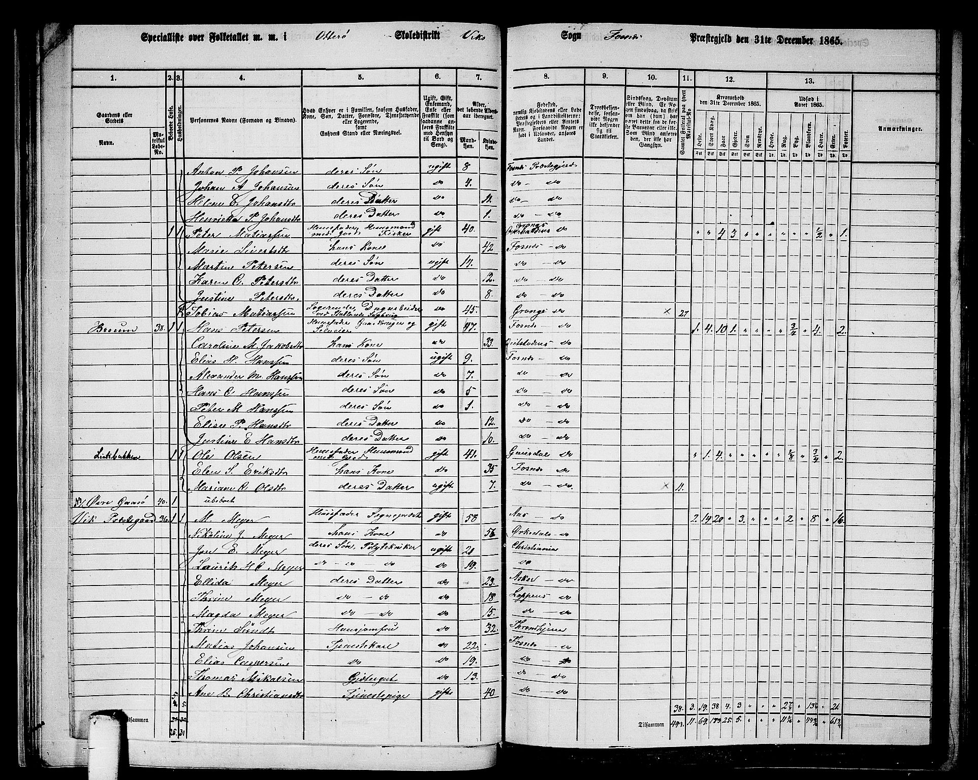 RA, 1865 census for Fosnes, 1865, p. 33