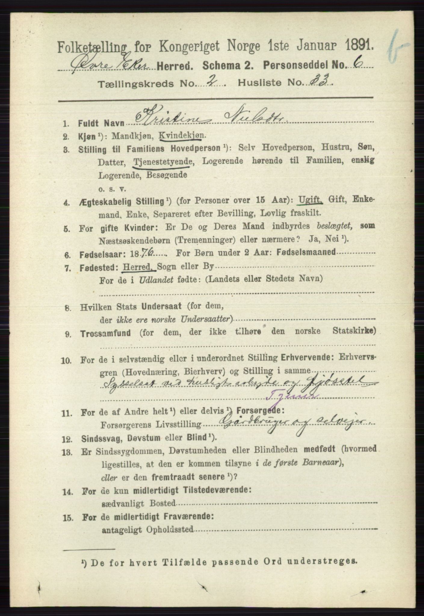 RA, 1891 census for 0624 Øvre Eiker, 1891, p. 8663