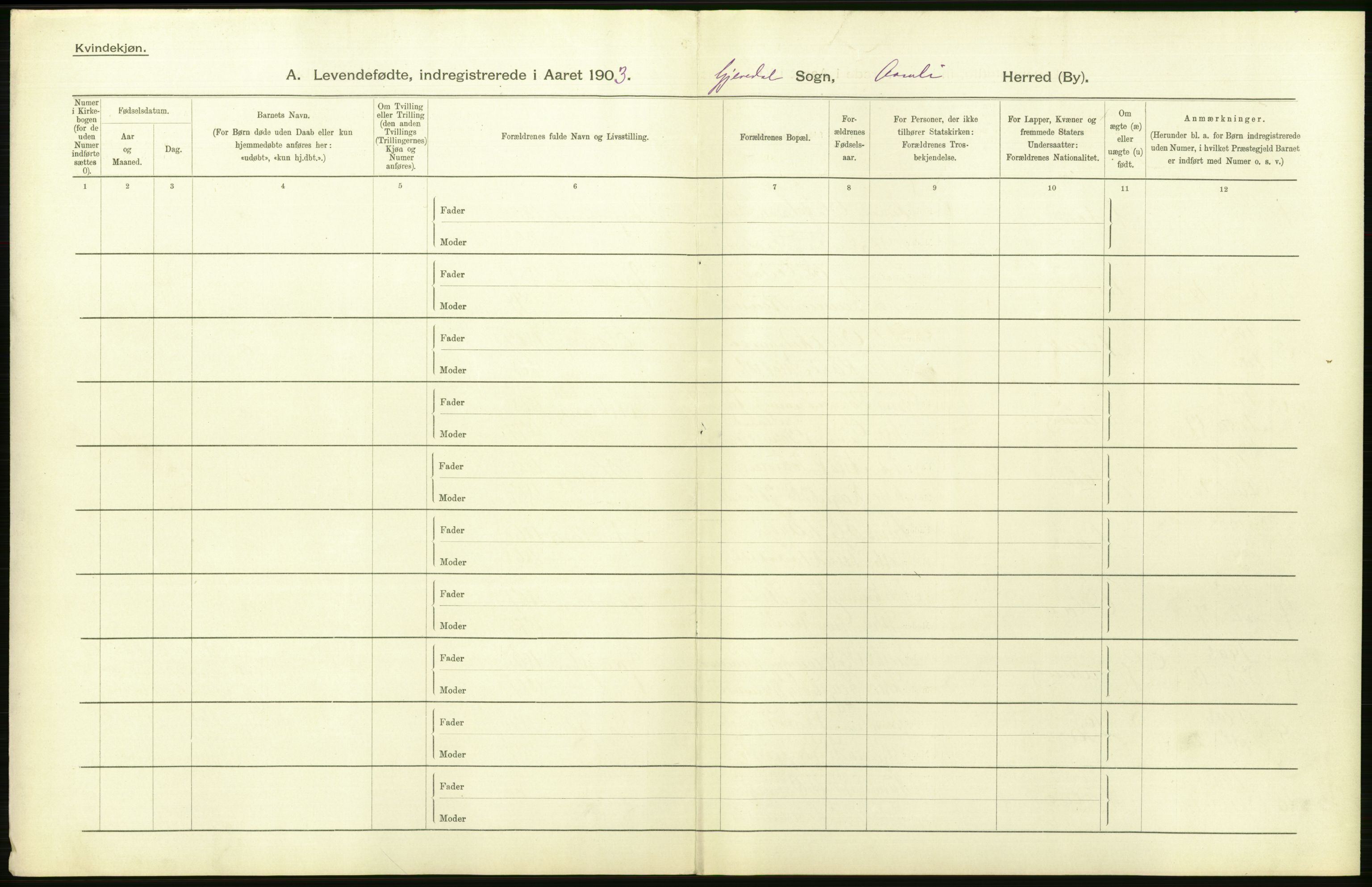 Statistisk sentralbyrå, Sosiodemografiske emner, Befolkning, AV/RA-S-2228/D/Df/Dfa/Dfaa/L0010: Nedenes amt: Fødte, gifte, døde, 1903, p. 42