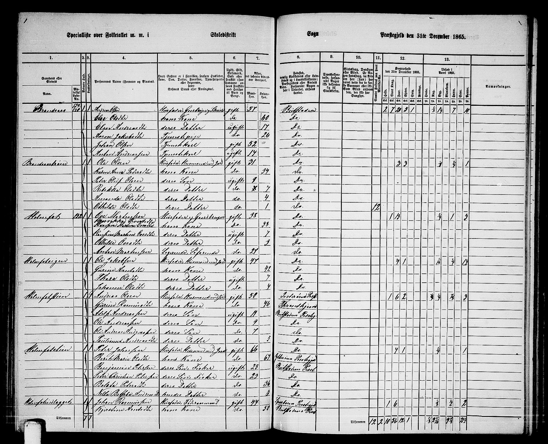 RA, 1865 census for Beitstad, 1865, p. 117