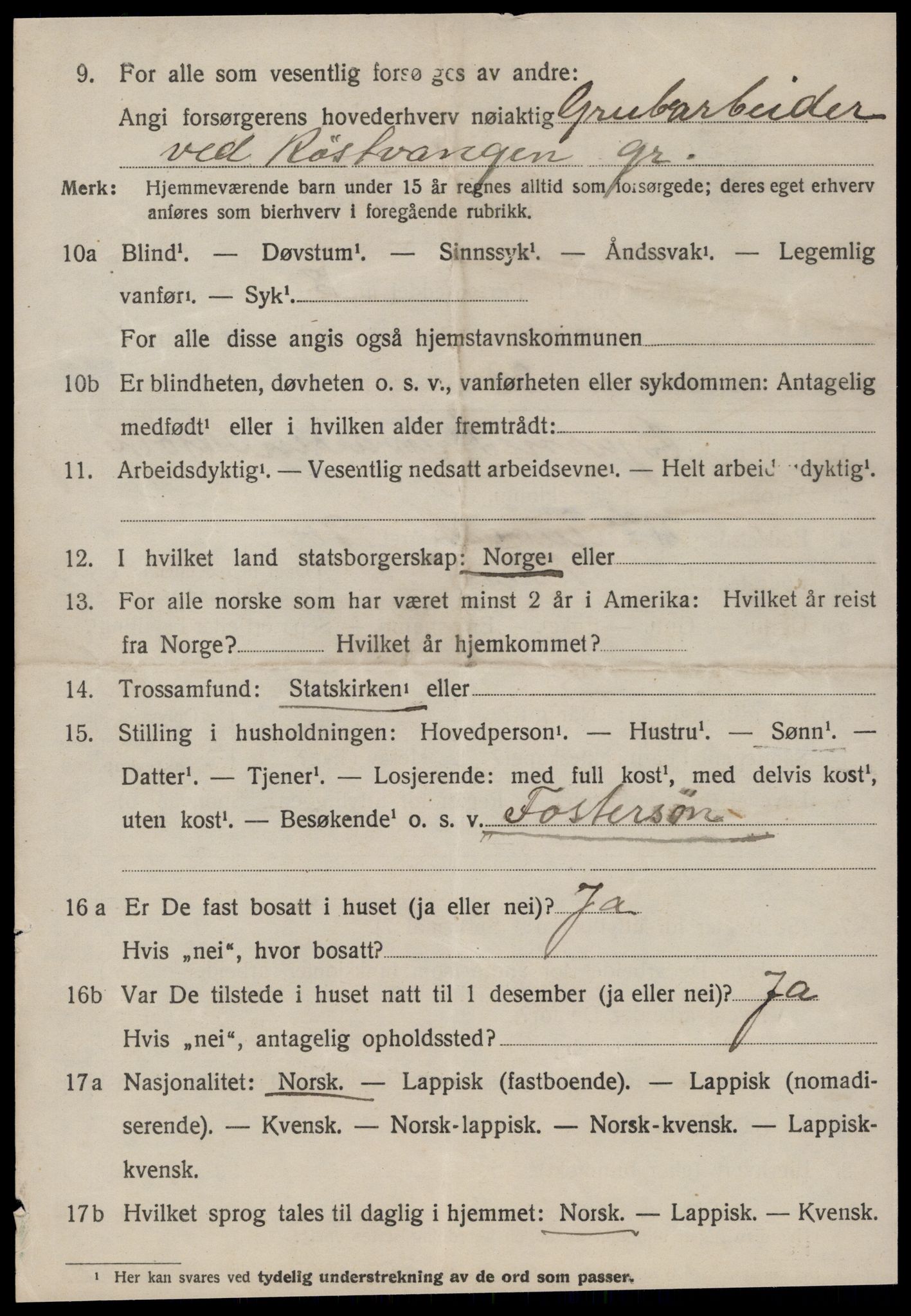 SAT, 1920 census for Røros, 1920, p. 8539