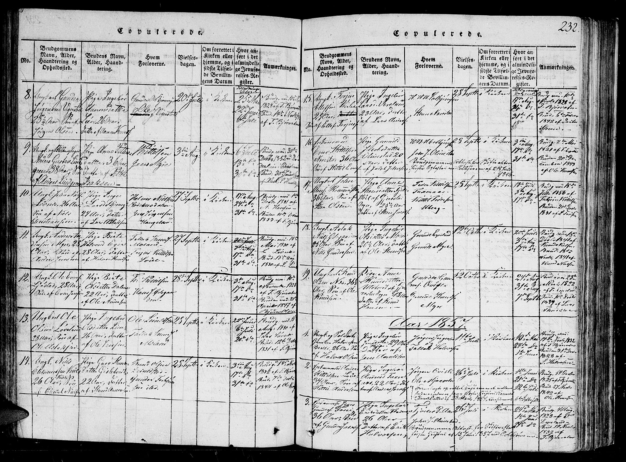 Gjerstad sokneprestkontor, SAK/1111-0014/F/Fb/Fbb/L0001: Parish register (copy) no. B 1, 1813-1863, p. 232