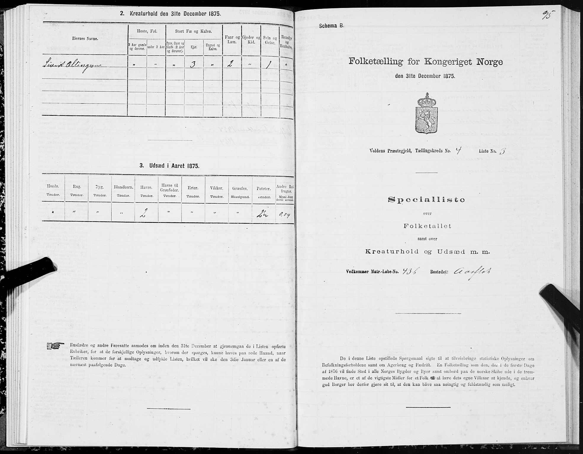 SAT, 1875 census for 1519P Volda, 1875, p. 3095