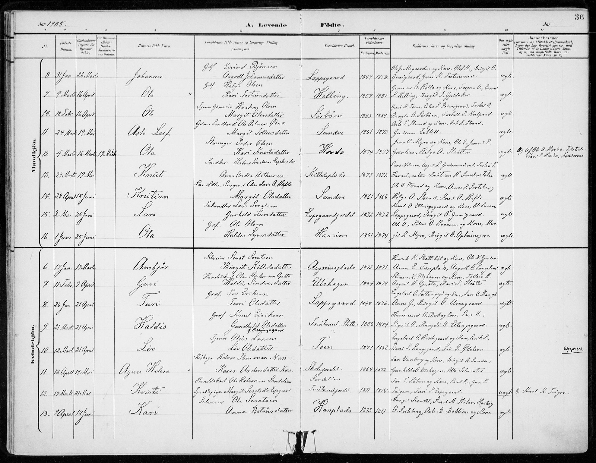 Ål kirkebøker, AV/SAKO-A-249/F/Fa/L0009: Parish register (official) no. I 9, 1897-1915, p. 36