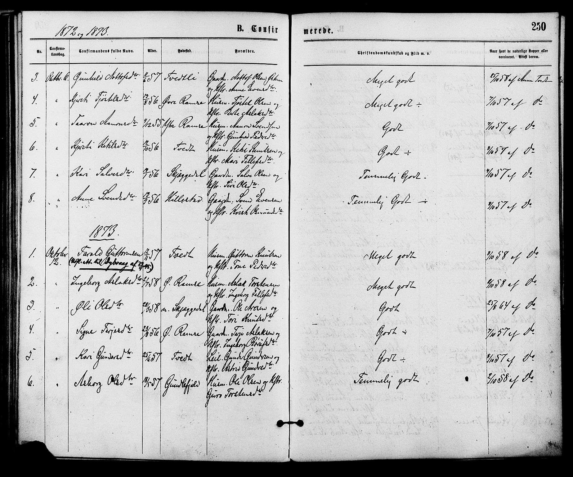 Åmli sokneprestkontor, SAK/1111-0050/F/Fa/Fac/L0009: Parish register (official) no. A 9 /3, 1869-1884, p. 250