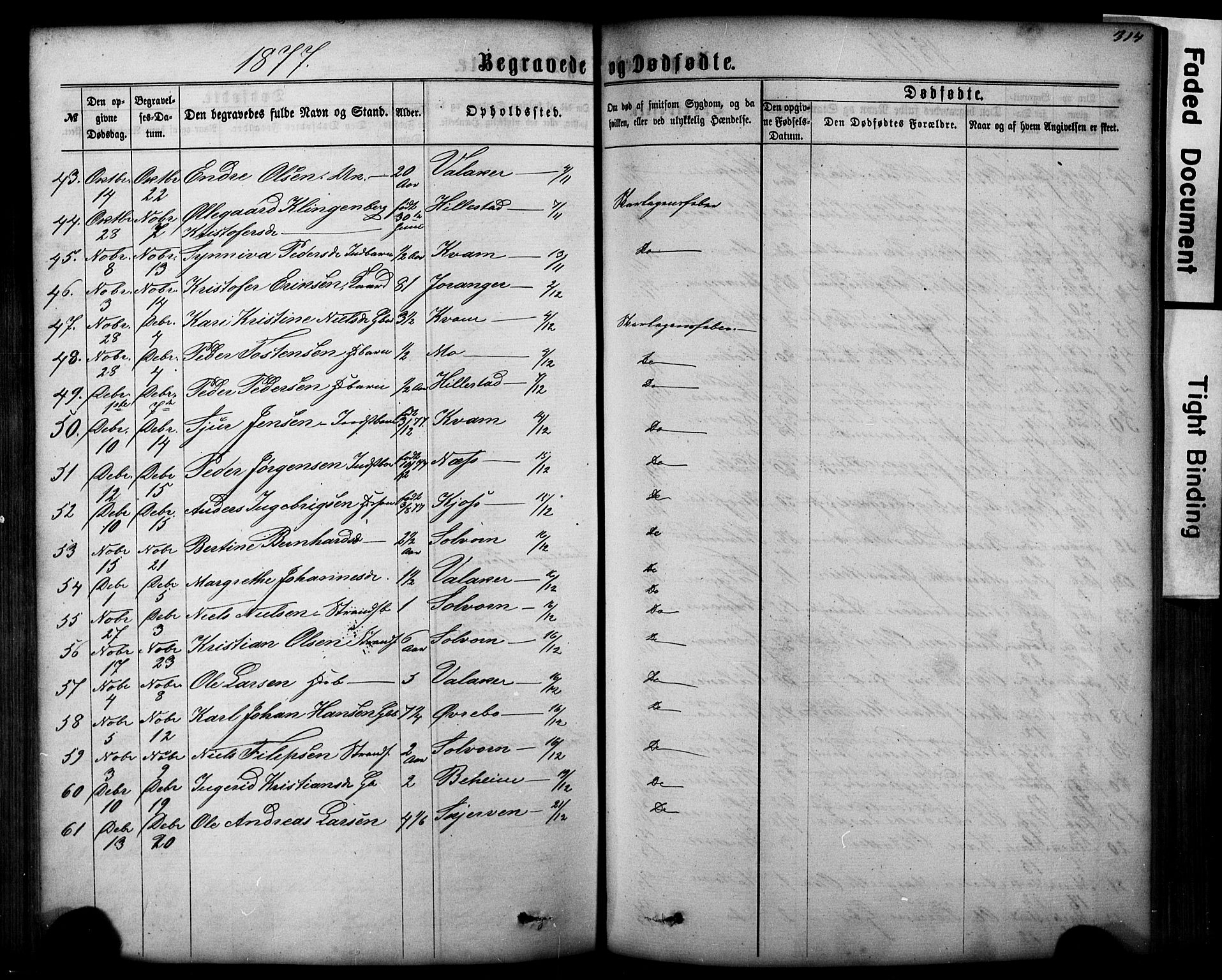 Hafslo sokneprestembete, SAB/A-80301/H/Hab/Haba/L0001: Parish register (copy) no. A 1, 1866-1908, p. 314