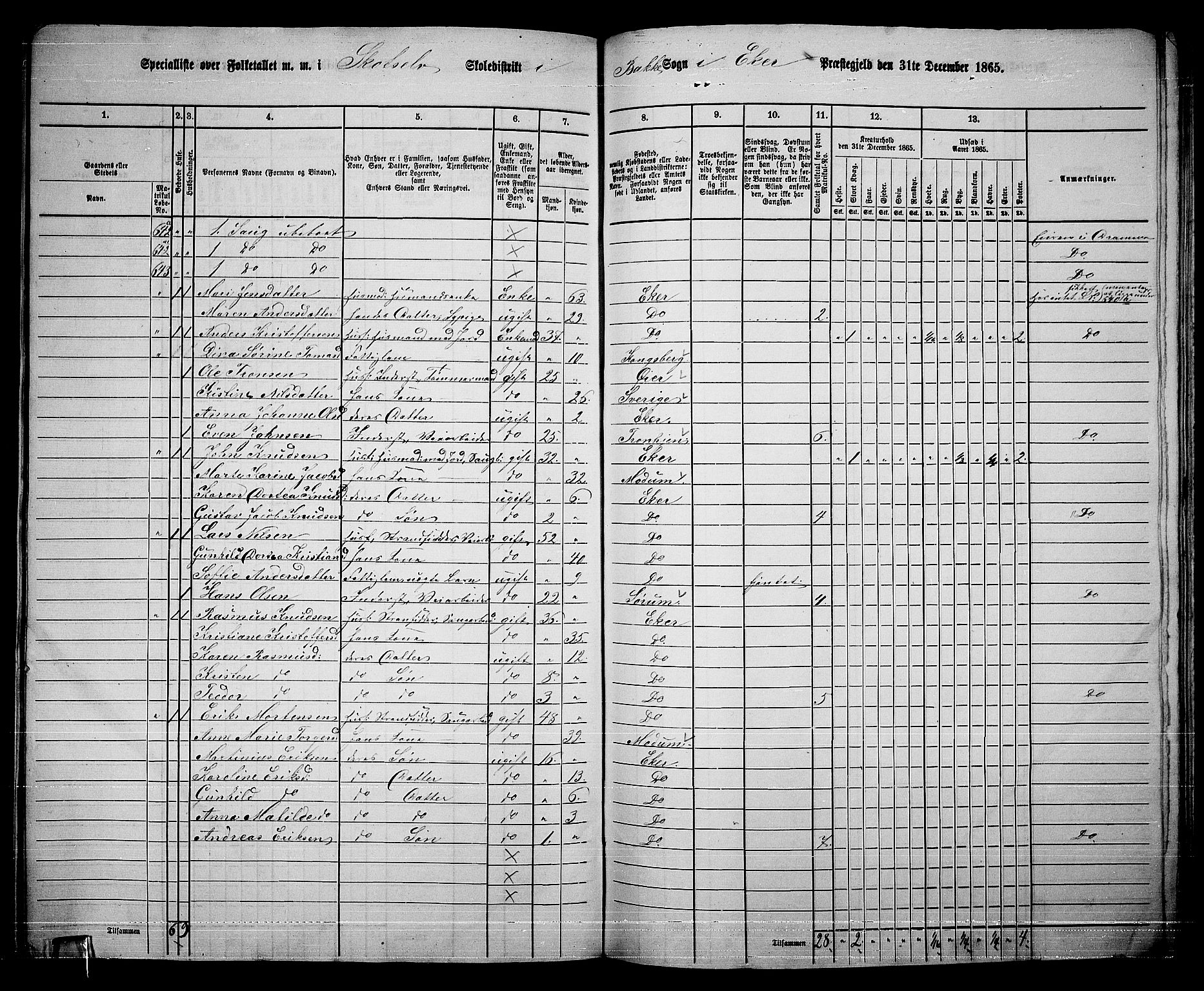 RA, 1865 census for Eiker, 1865, p. 485