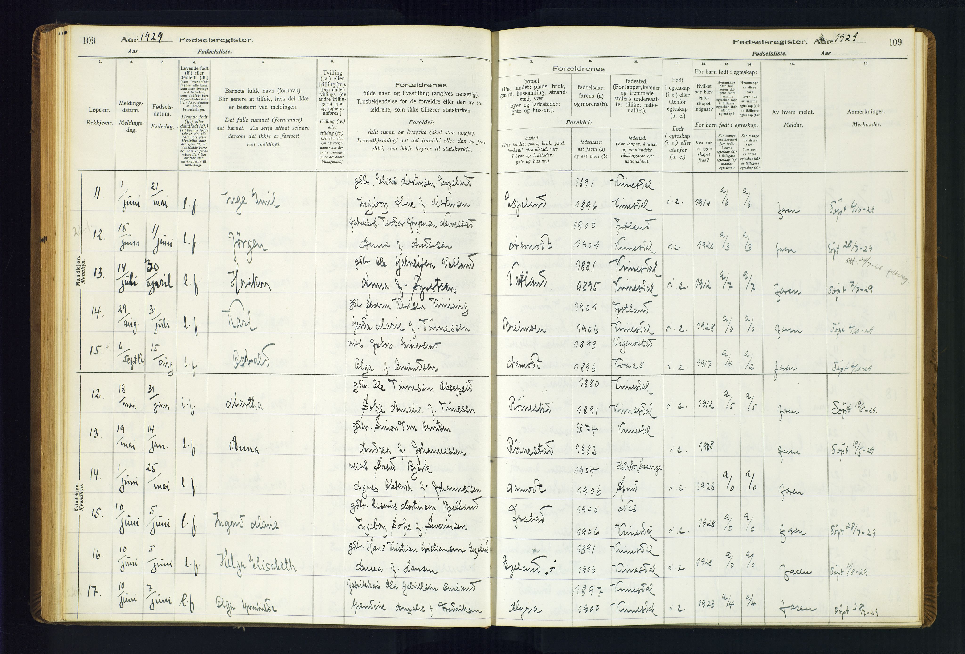 Kvinesdal sokneprestkontor, AV/SAK-1111-0026/J/Ja/L0001: Birth register no. 1, 1916-1941, p. 109