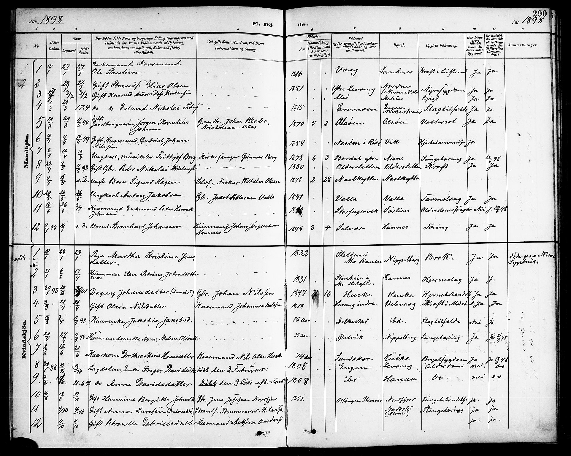 Ministerialprotokoller, klokkerbøker og fødselsregistre - Nordland, AV/SAT-A-1459/838/L0559: Parish register (copy) no. 838C06, 1893-1910, p. 290