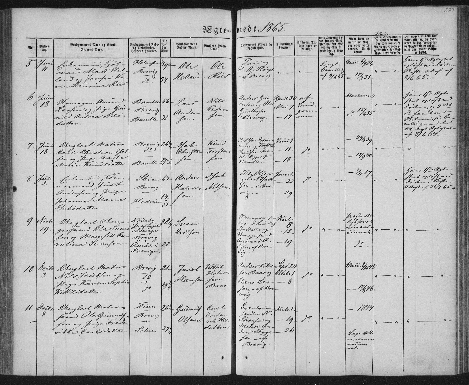 Brevik kirkebøker, AV/SAKO-A-255/F/Fa/L0005: Parish register (official) no. 5, 1847-1865, p. 223